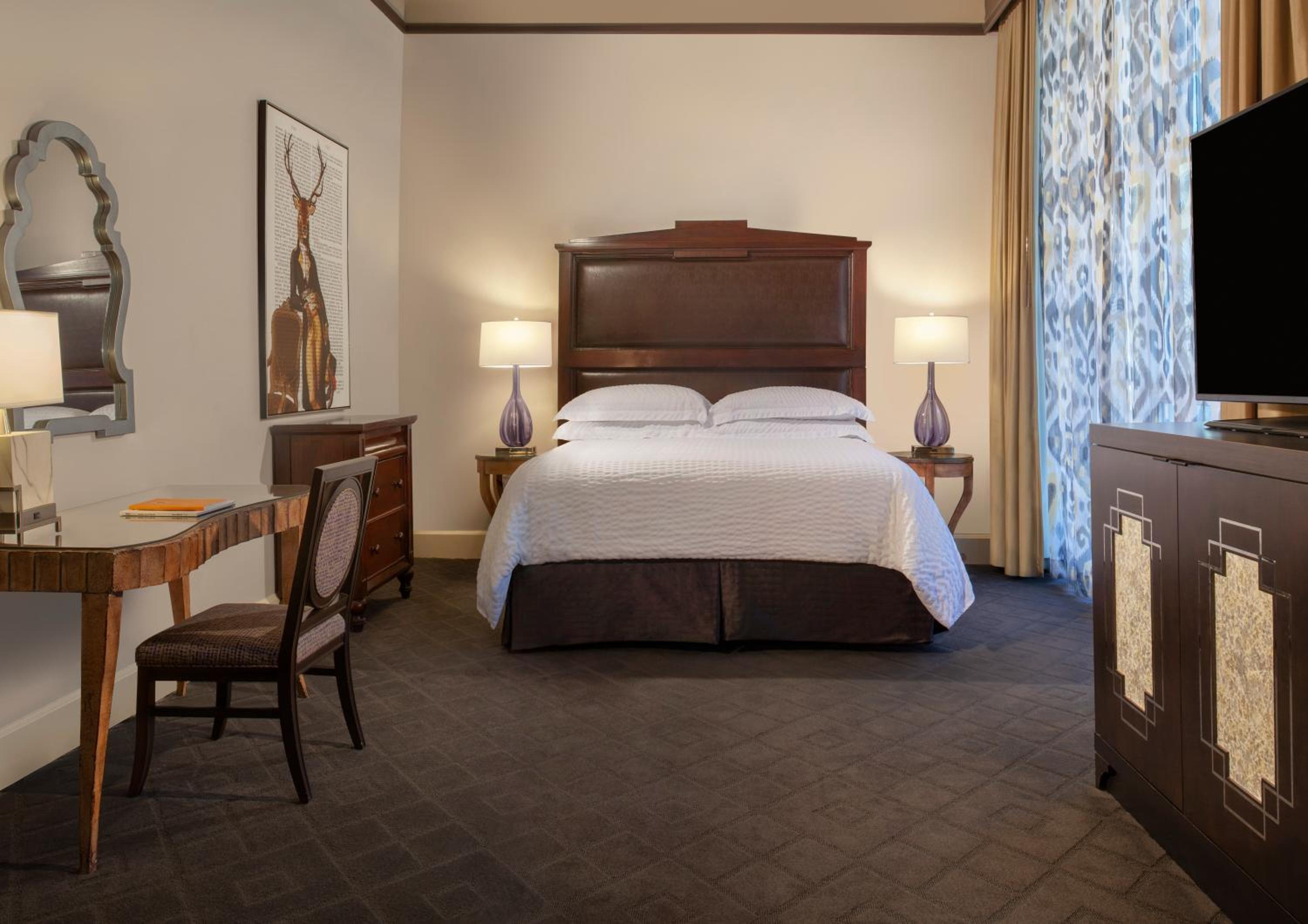 Suite - Photo 1