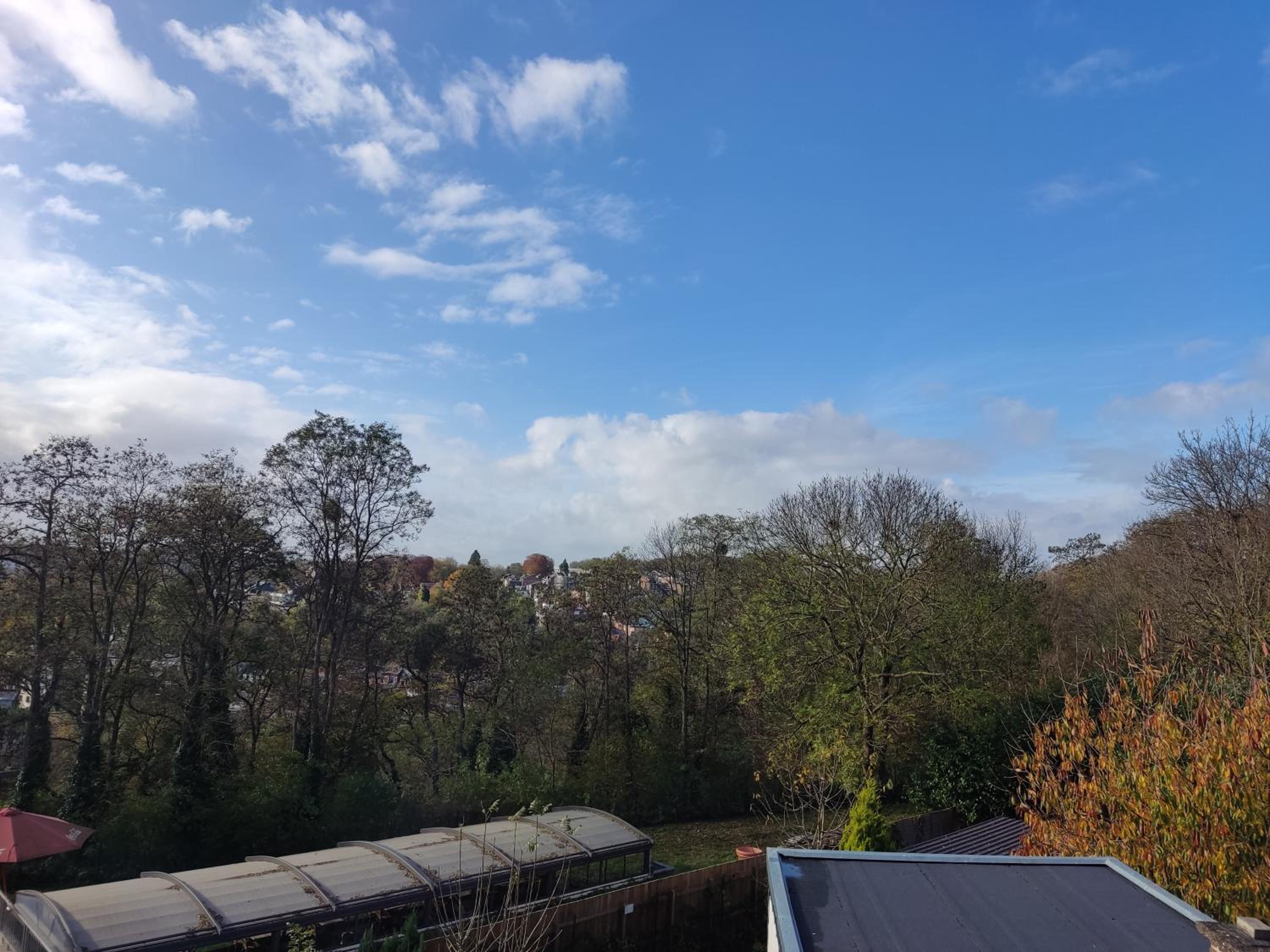 Double Room with Garden View photo 2