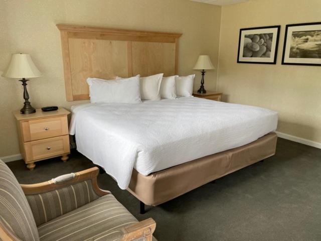 Motel Room 1