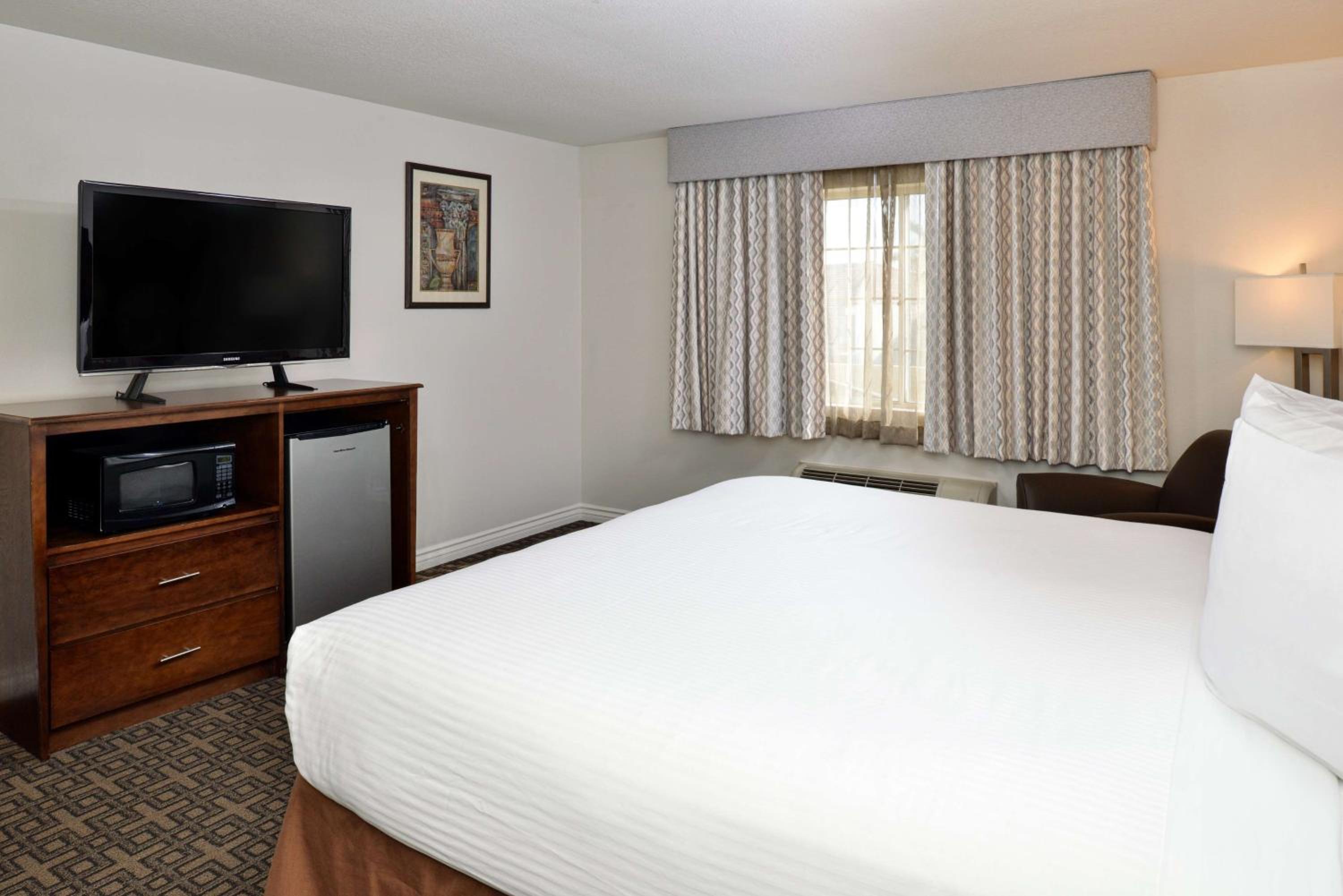 King Room - Pet Friendly/Non-Smoking photo 3