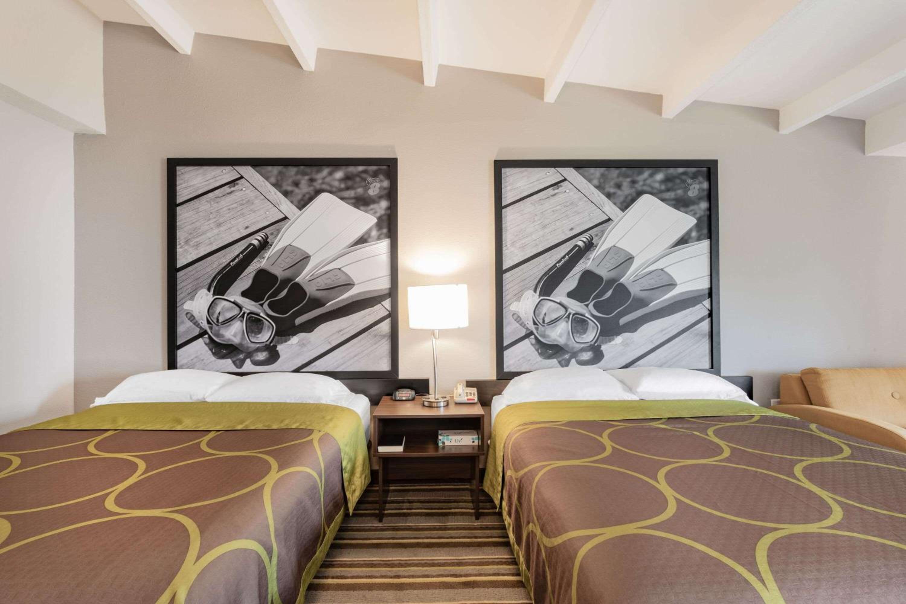 Doube Room with Two Double Beds and Roll-In Shower - Mobility/Hearing Accessible - Non-Smoking - Photo 1