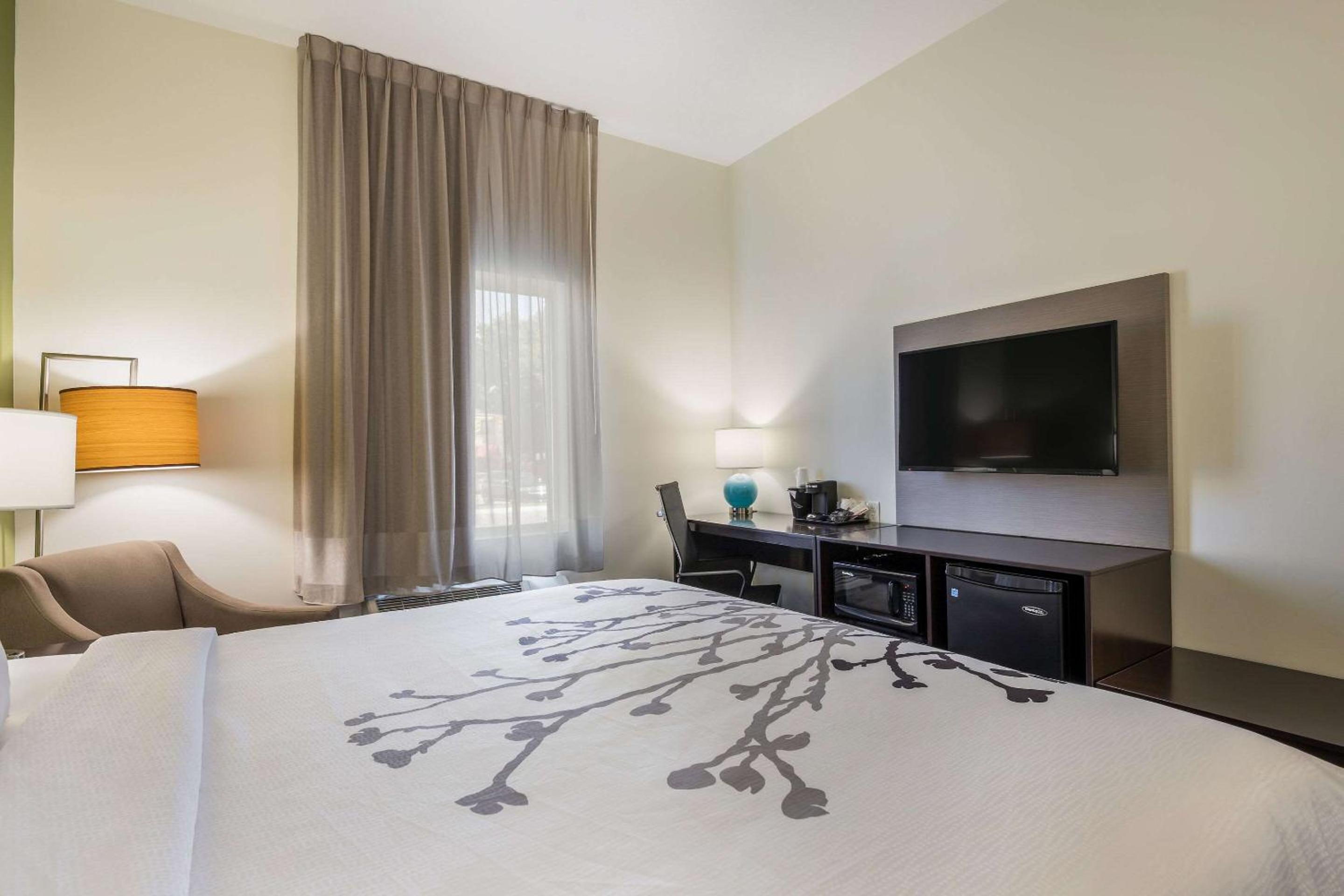 Standard King Room - Non-Smoking  - Photo 3
