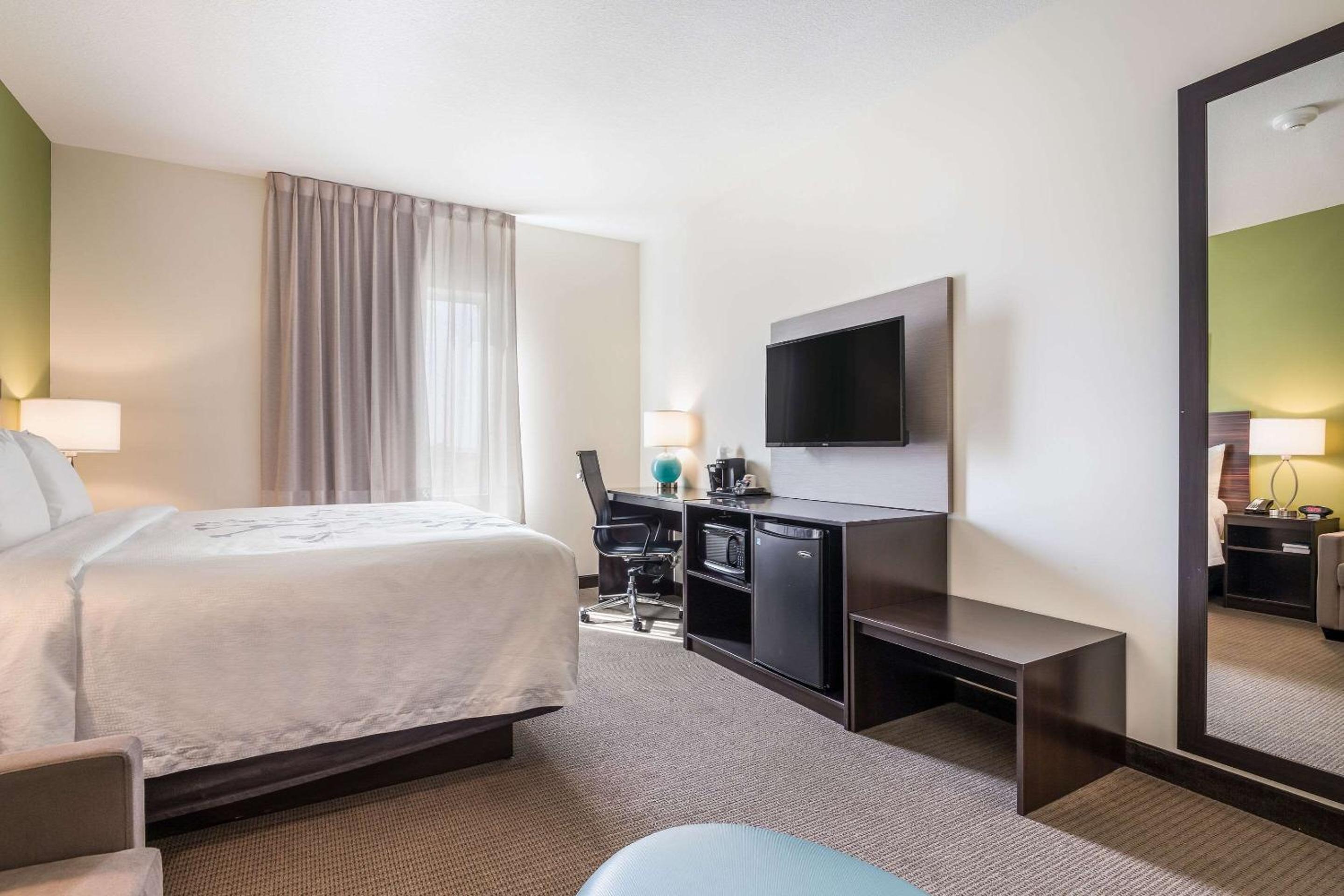 Business King Suite - Non Smoking - Photo 4