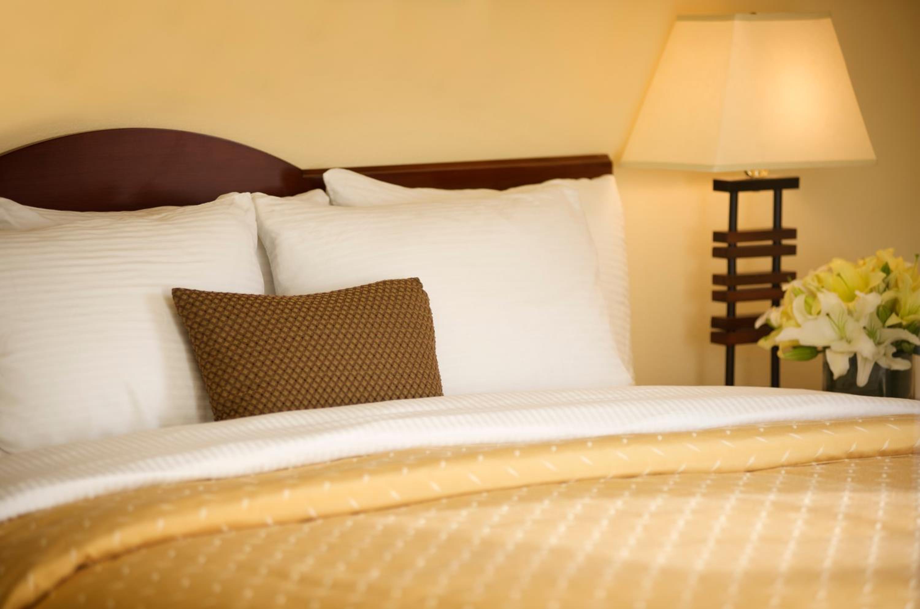 Suite - Photo 2