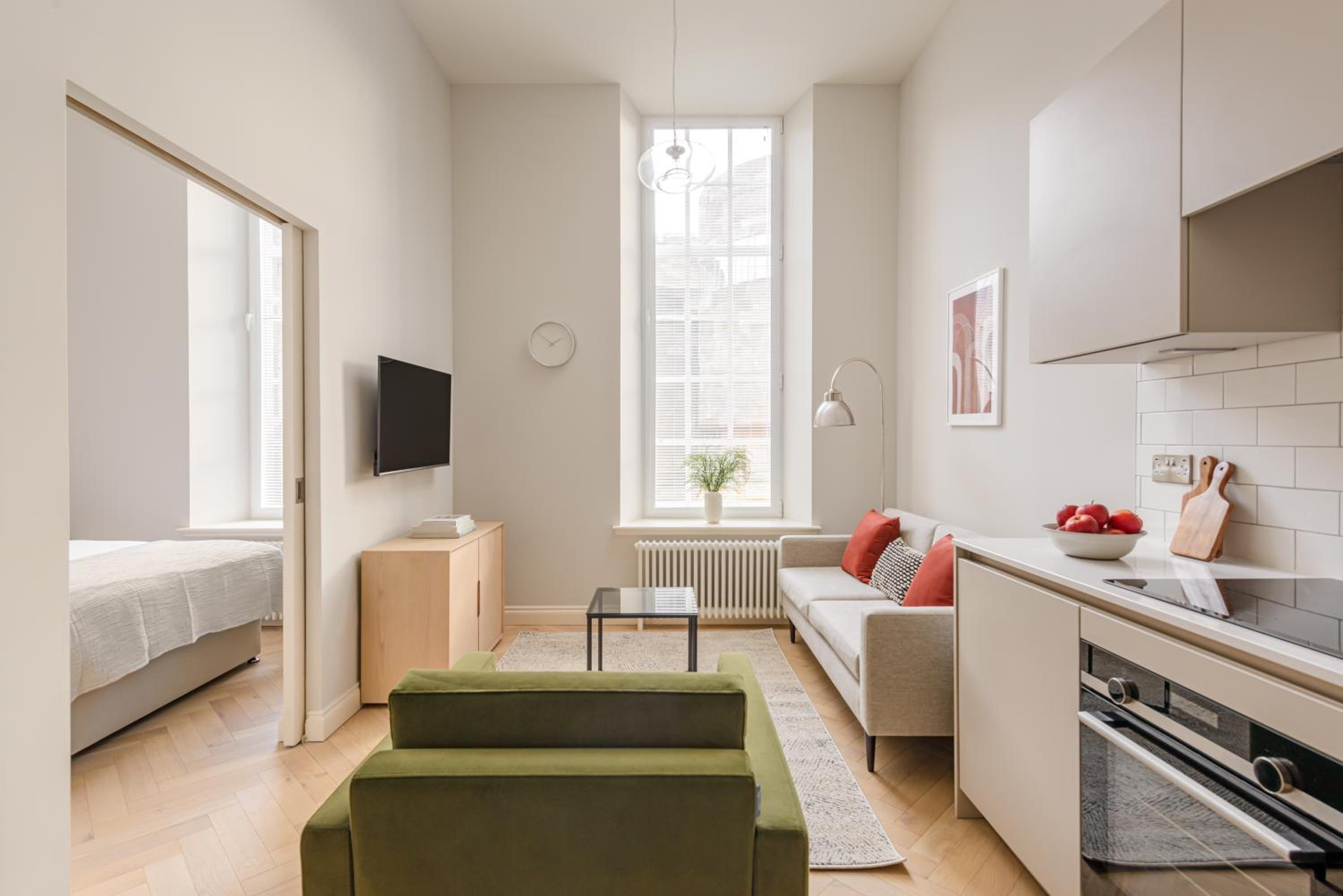 Deluxe One-Bedroom Apartment