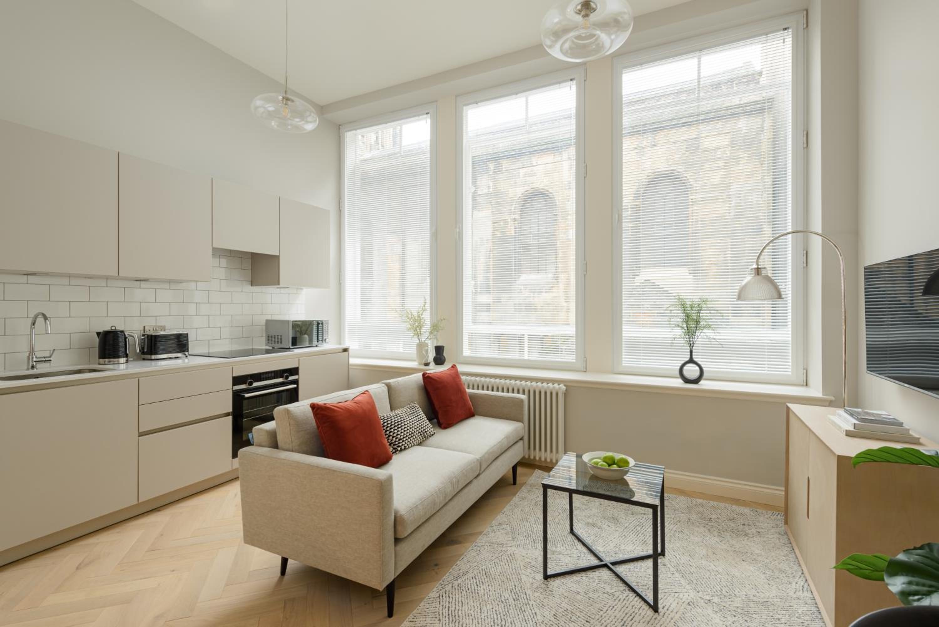 Deluxe Open Plan Apartment