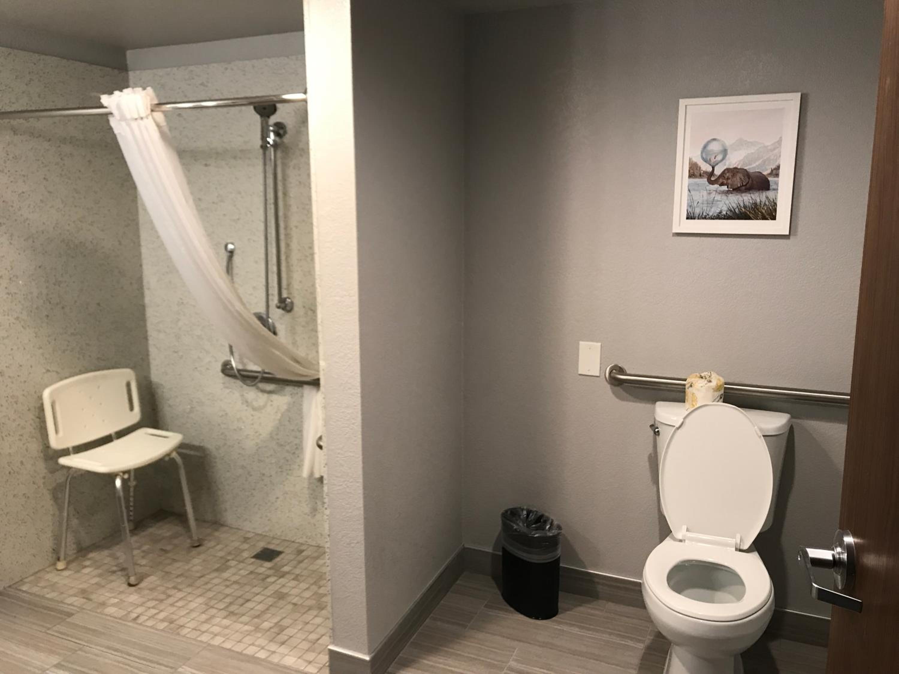 King Room with Roll-In Shower - Accessible/Non Smoking - Photo 11