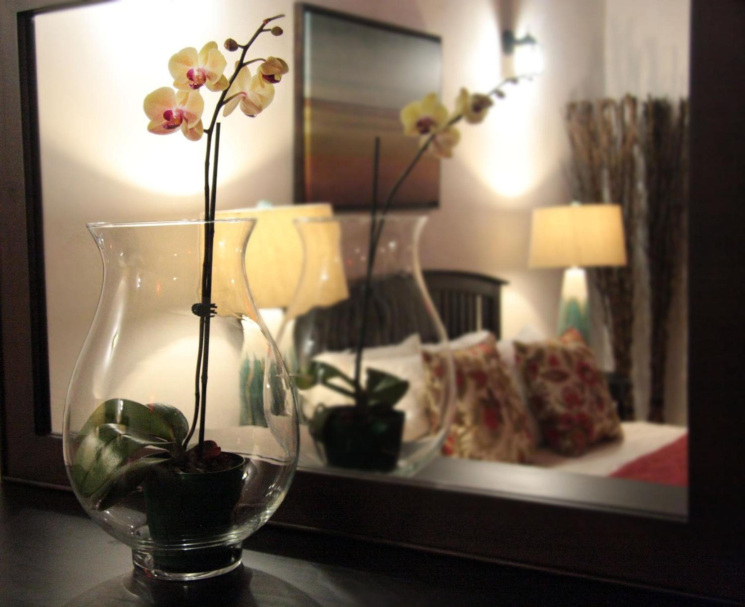 San Sebastian Suite photo 3