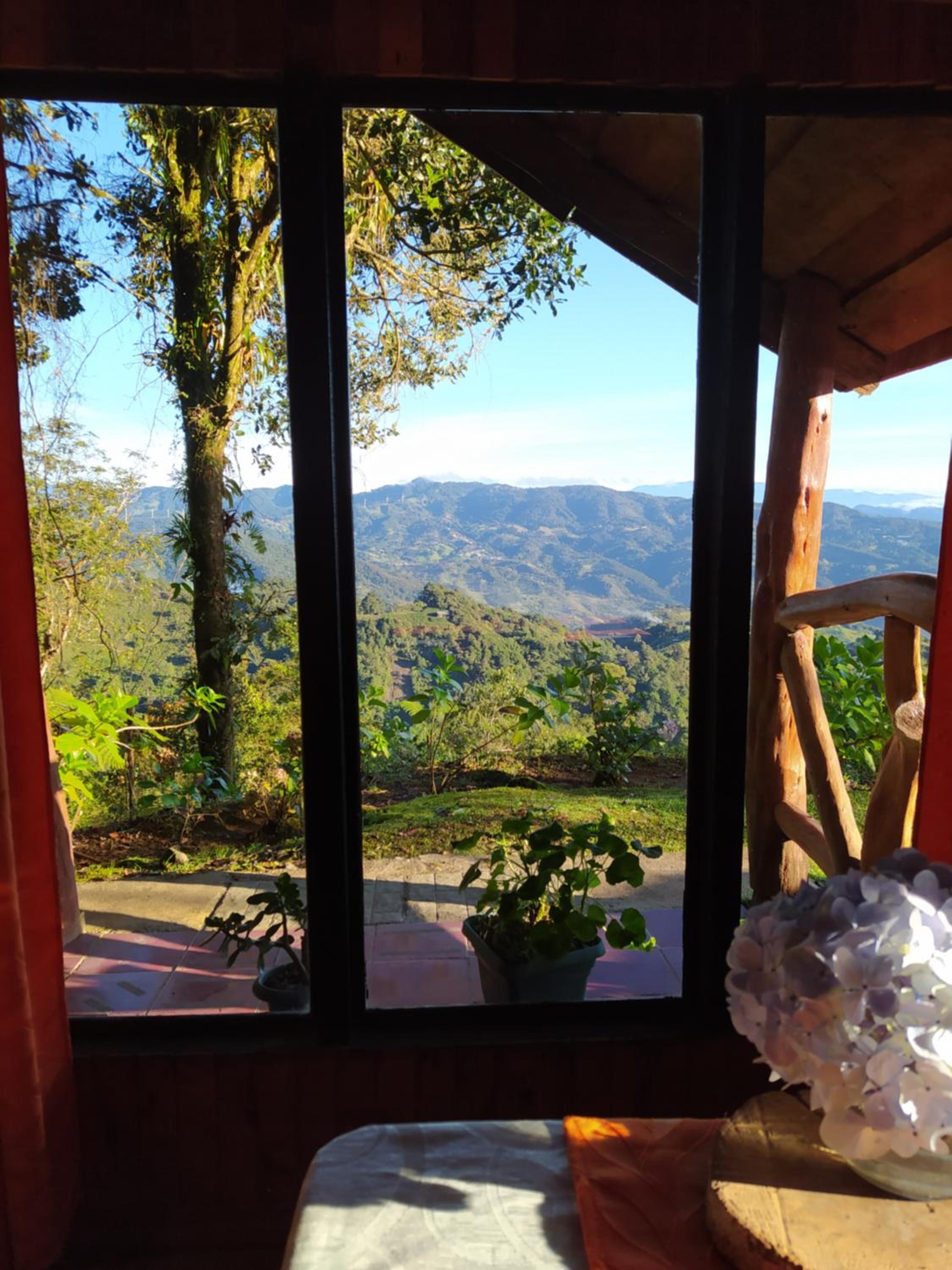 Bungalow photo 3