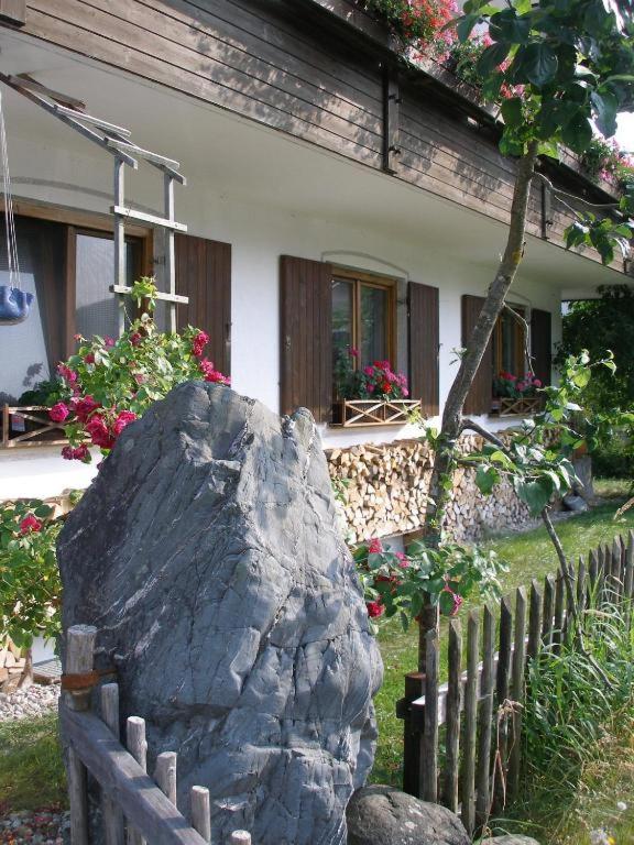 Apartment with Terrace photo 2