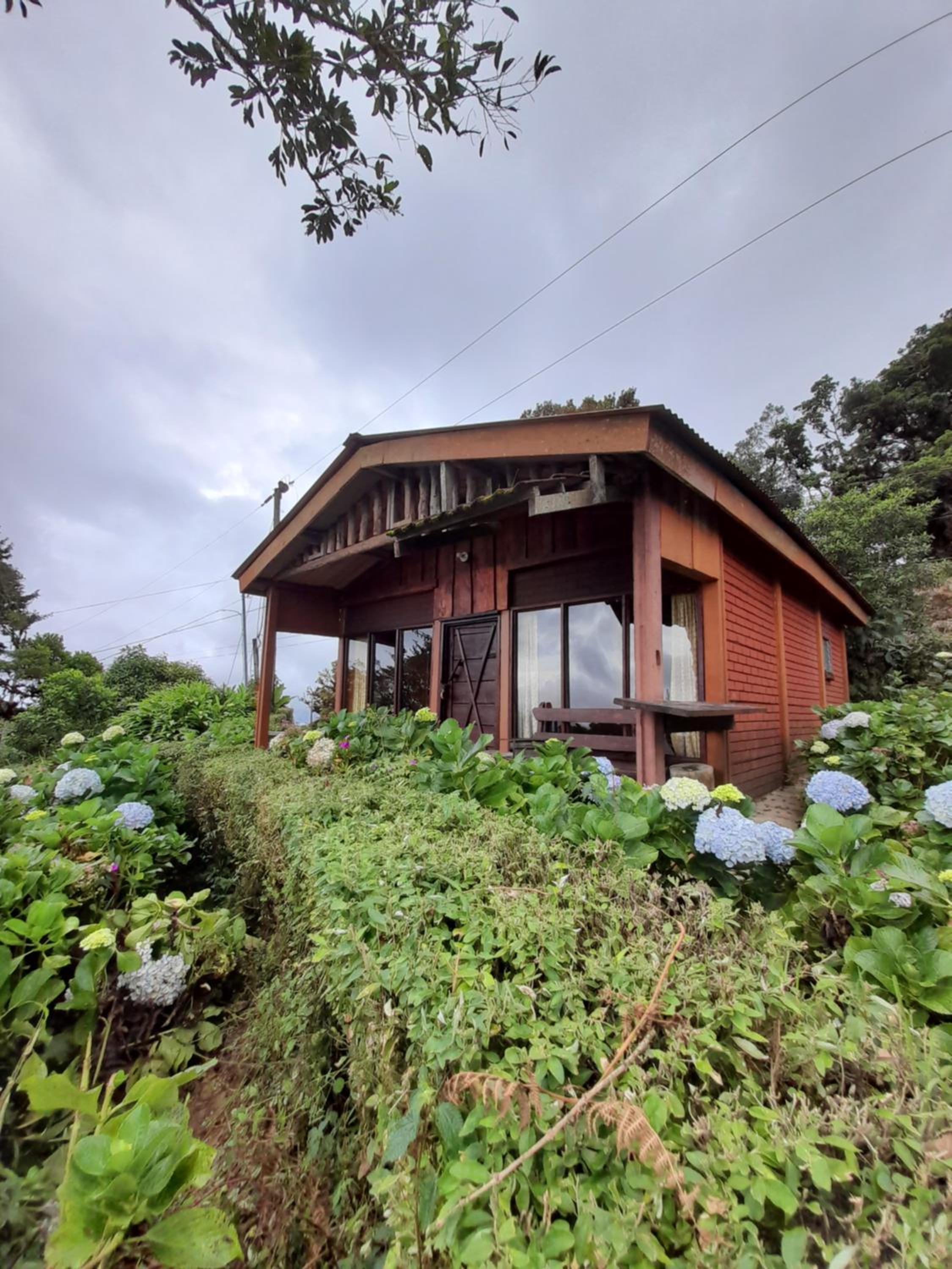 Bungalow photo 2