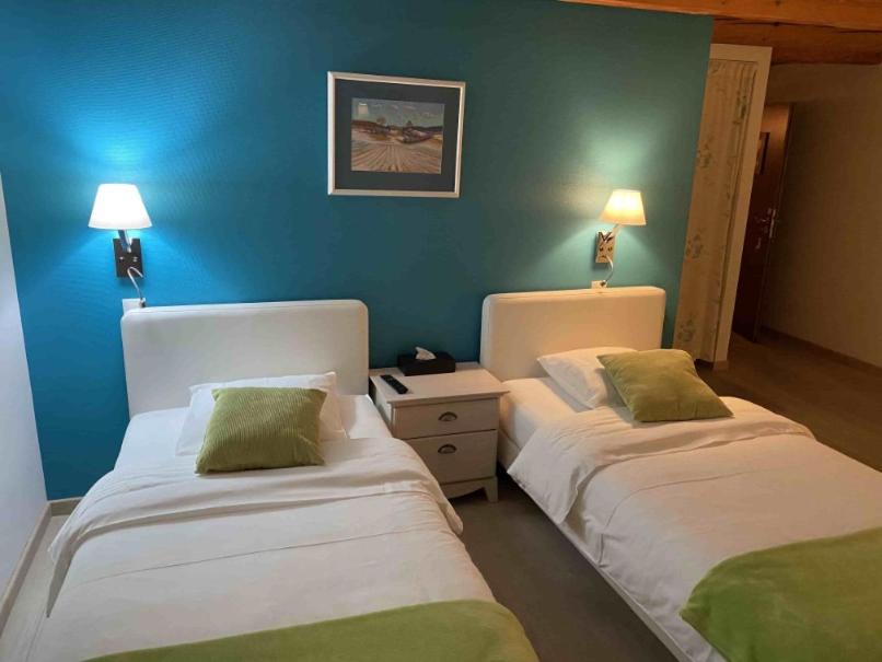 Superior Twin Room with Lake View photo 1