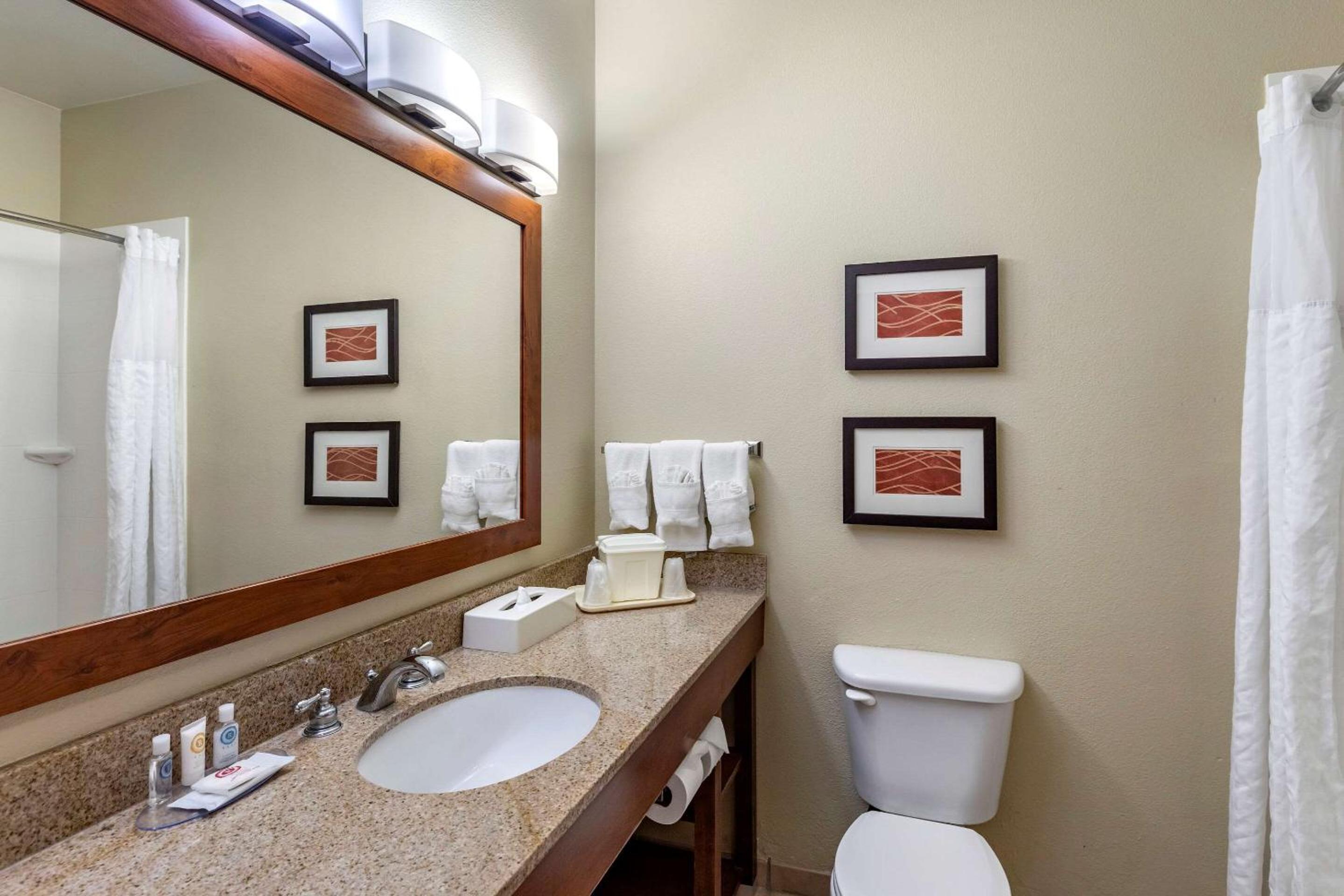 King Room - Non-Smoking - Photo 6