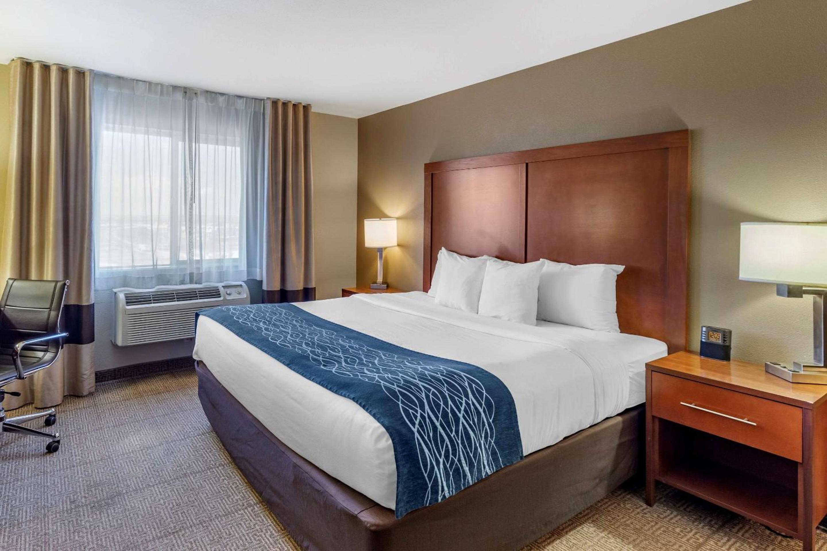 King Suite - Photo 9