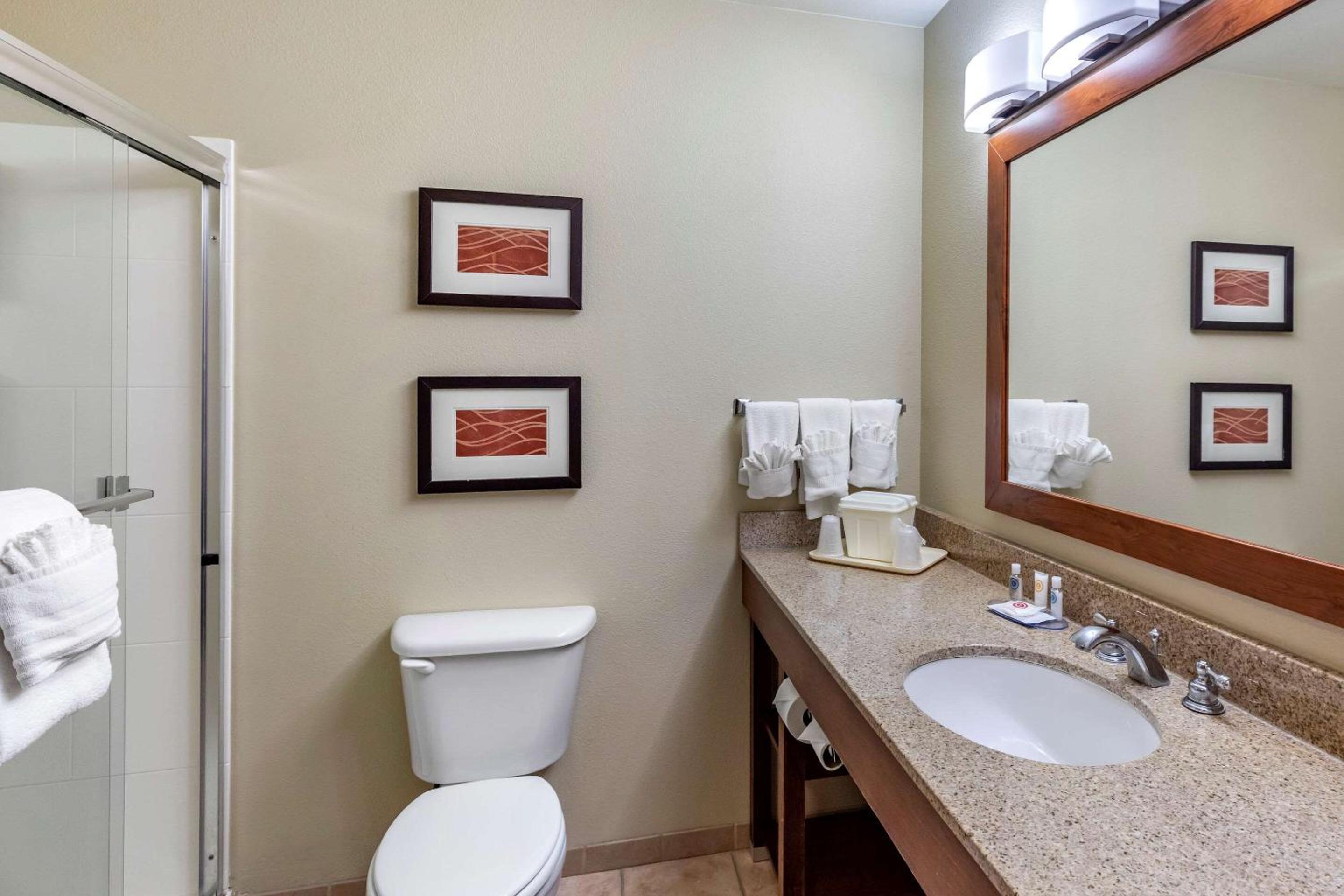 King Suite - Photo 6