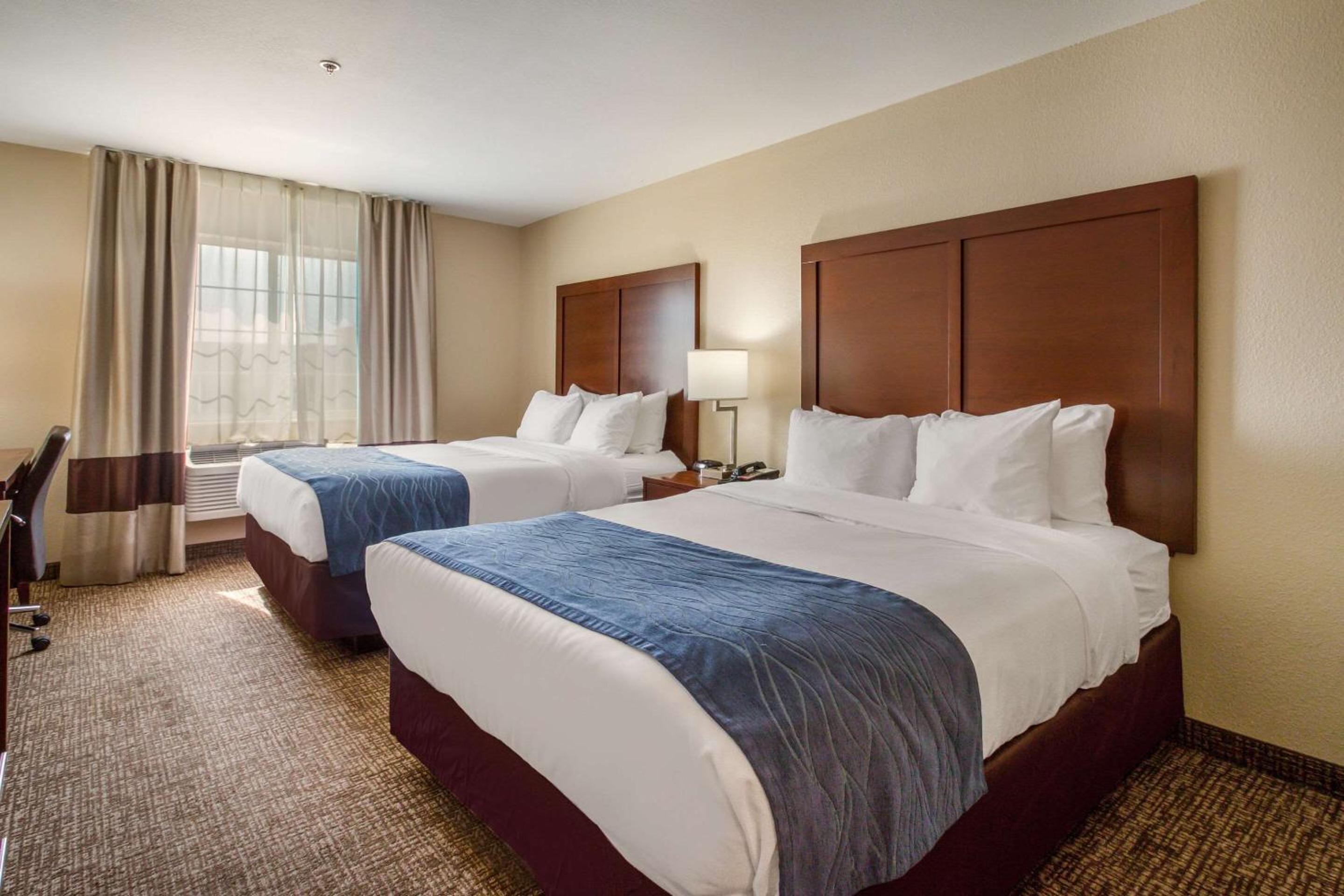 Queen Suite with Two Queen Beds - Non-Smoking photo 3