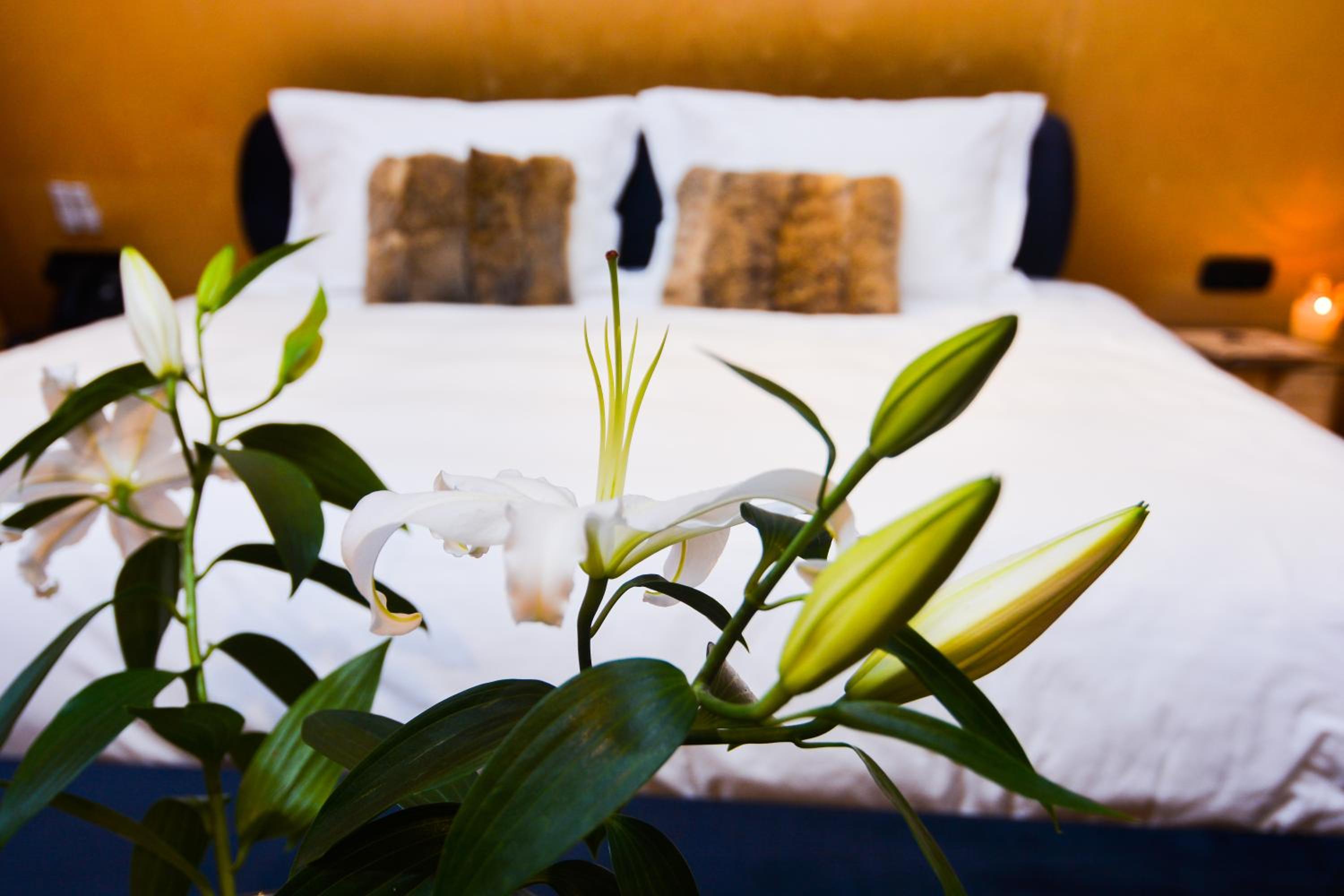 Suite photo 3