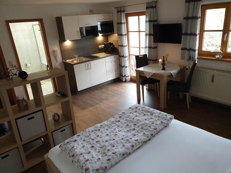 Studio Apartment photo 1