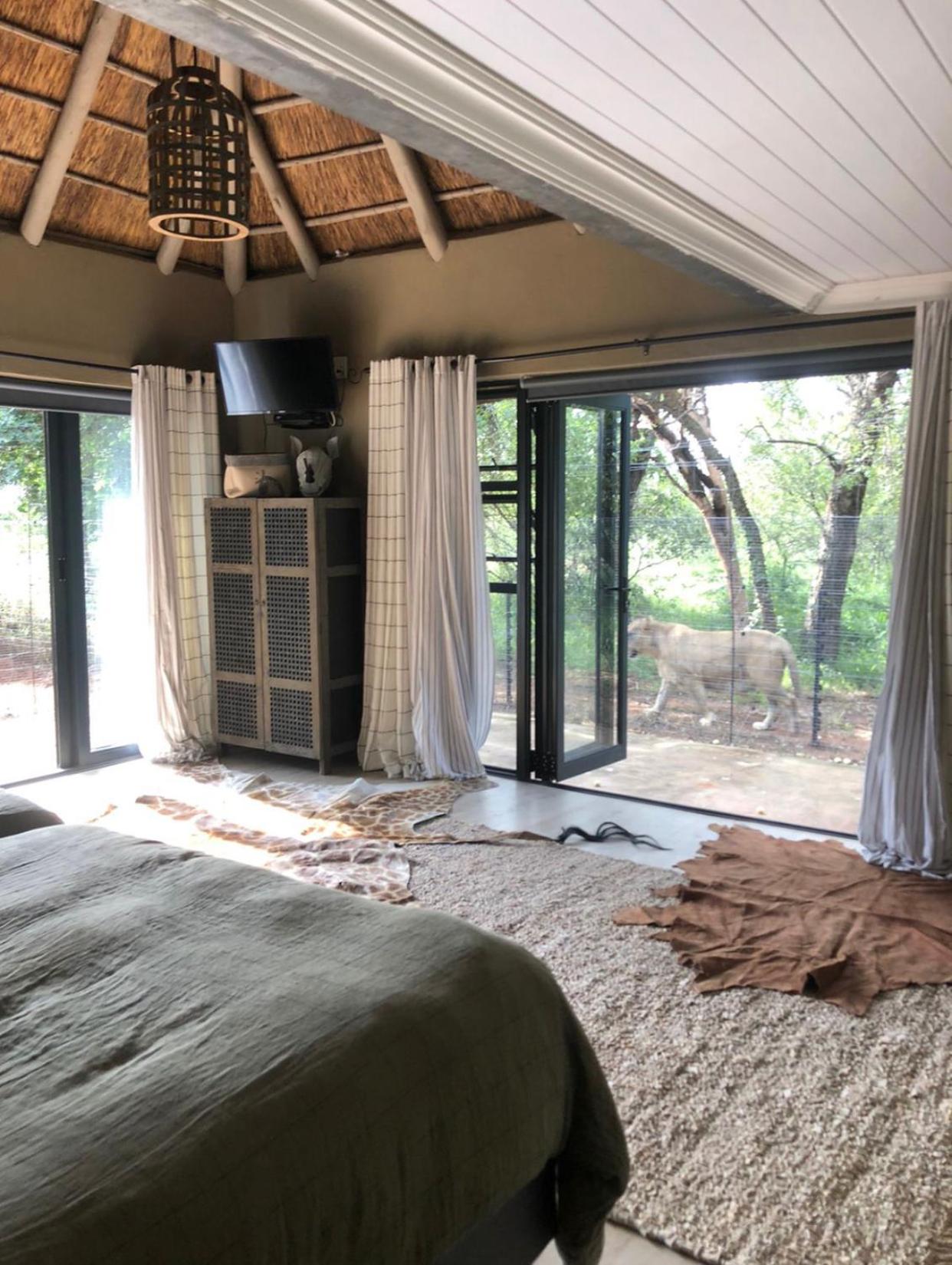 Deluxe Double or Twin Room with Pool Access - Photo 1