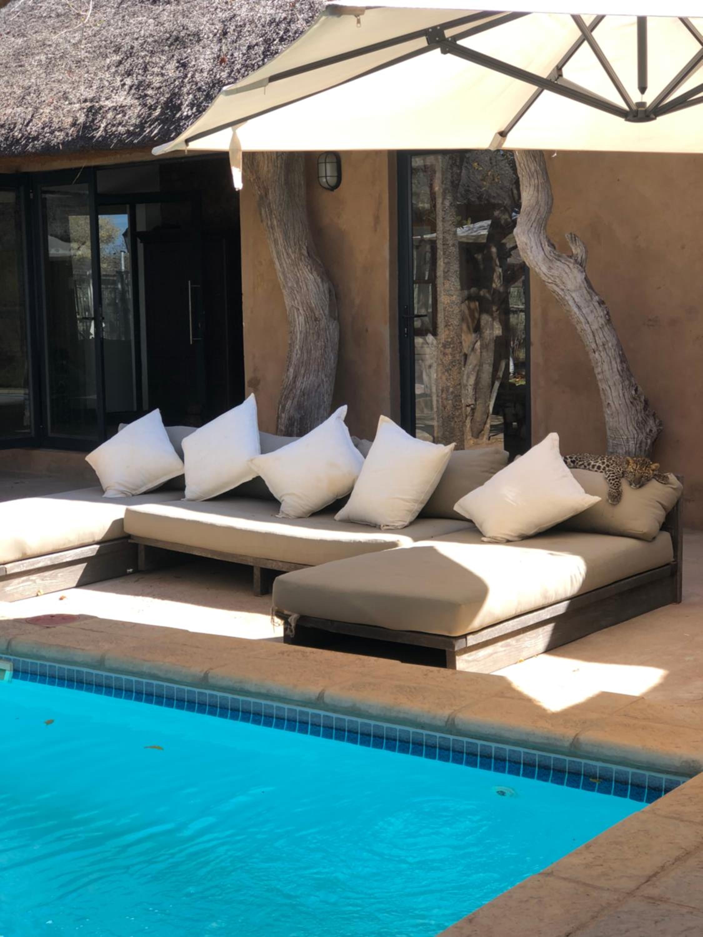 Deluxe Double or Twin Room with Pool Access - Photo 6
