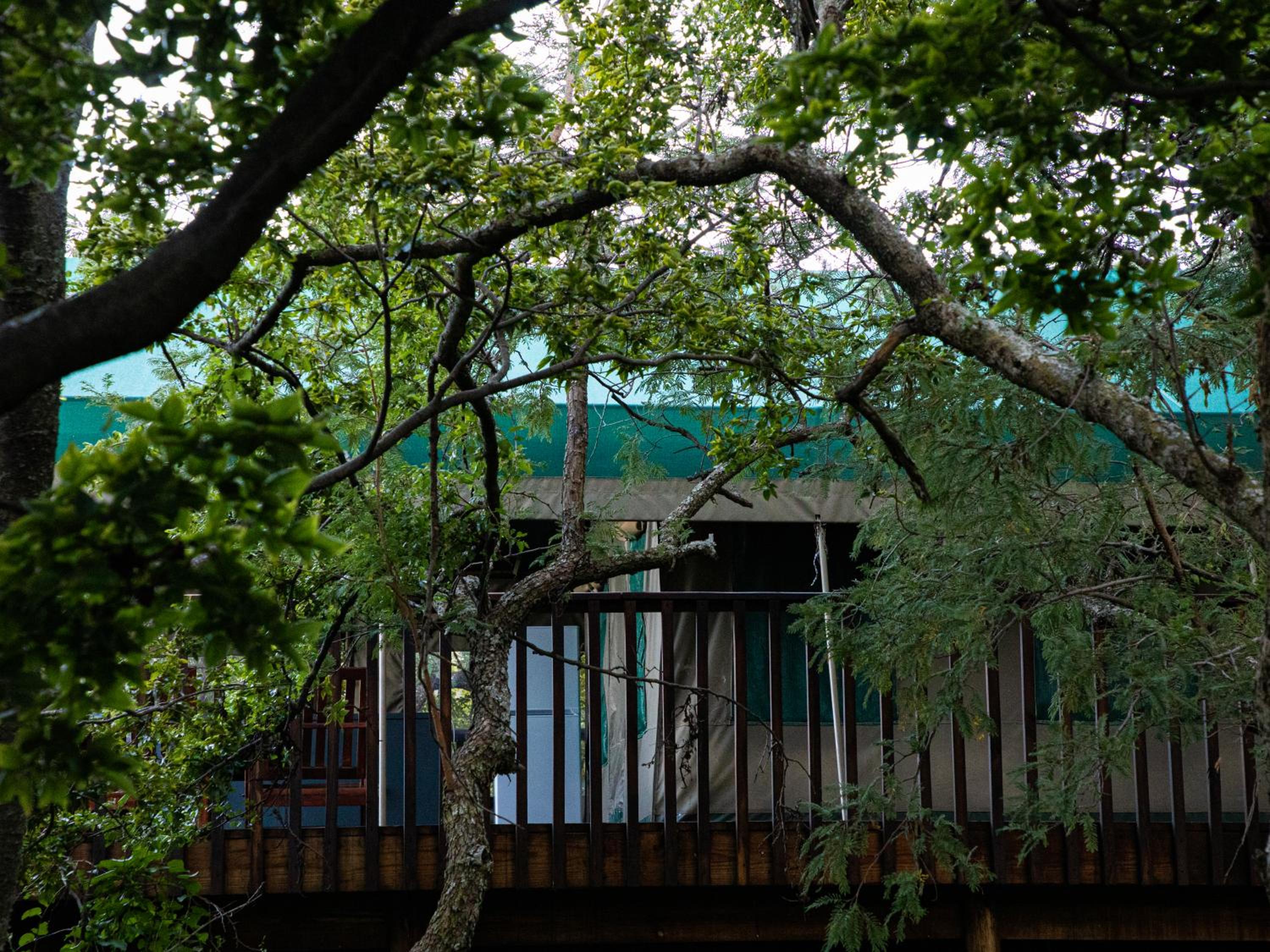 Tent - Photo 5