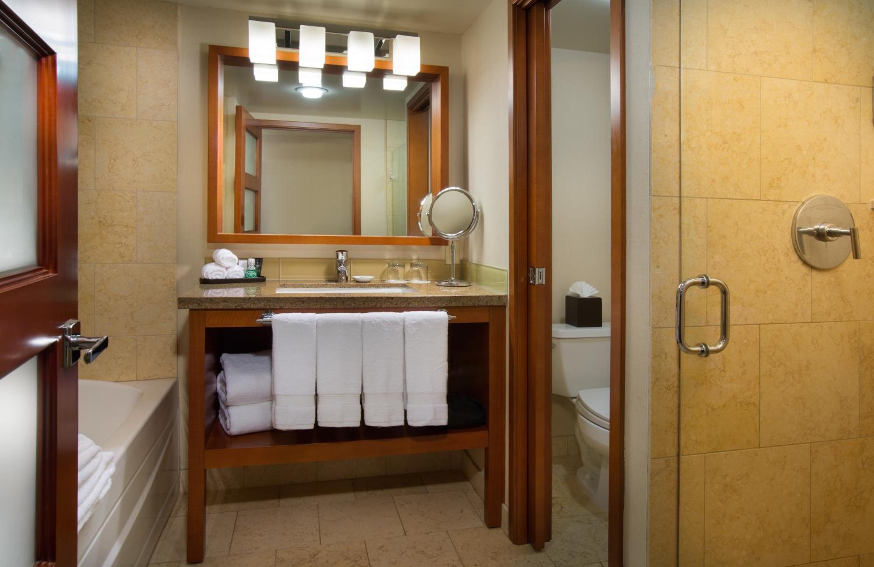 Premium King Room - Photo 4