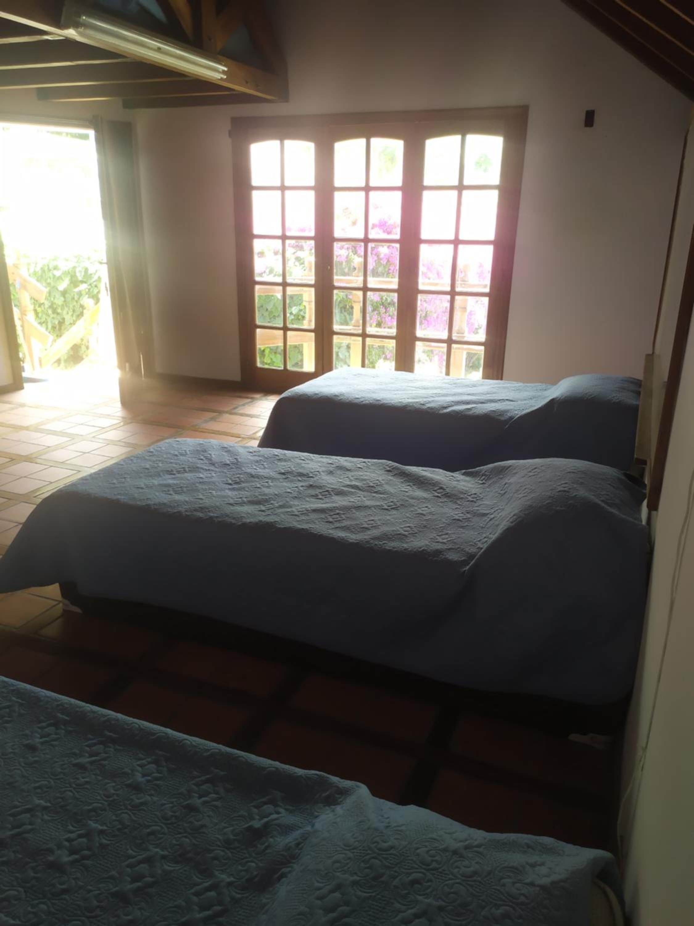 Bed in 6-Bed Mixed Dormitory Room