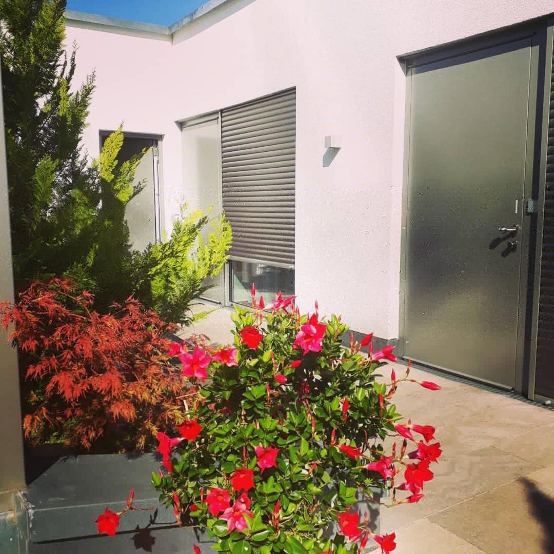 Apartment with Terrace photo 2