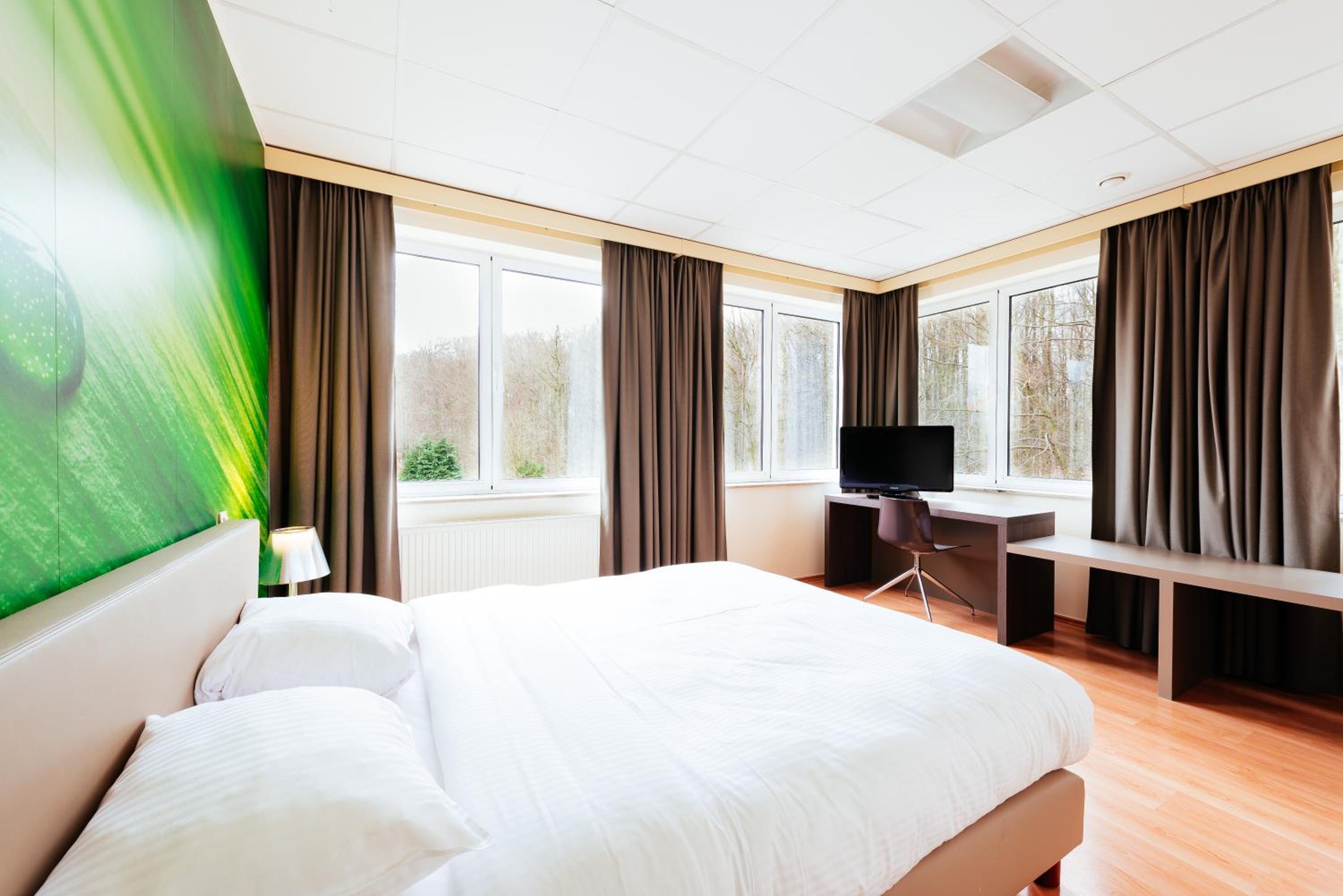 Suite photo 1