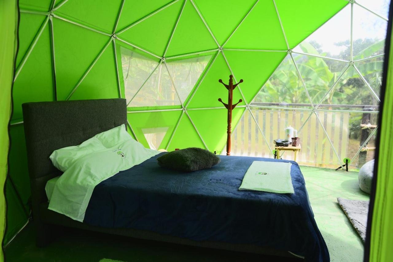 Double Room with Mountain View photo 3