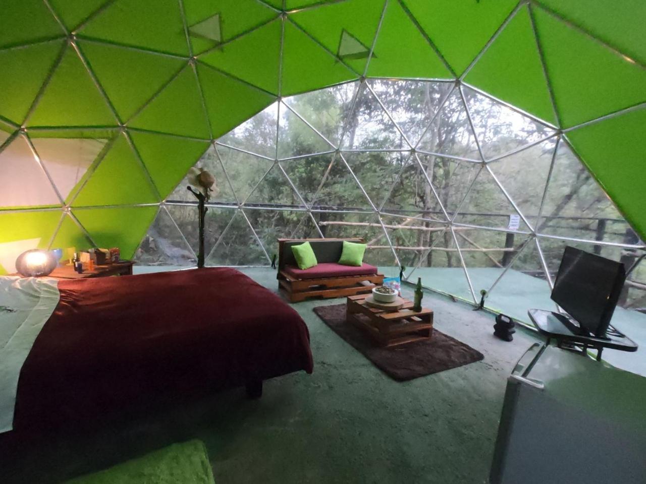 King Room with Mountain View photo 1