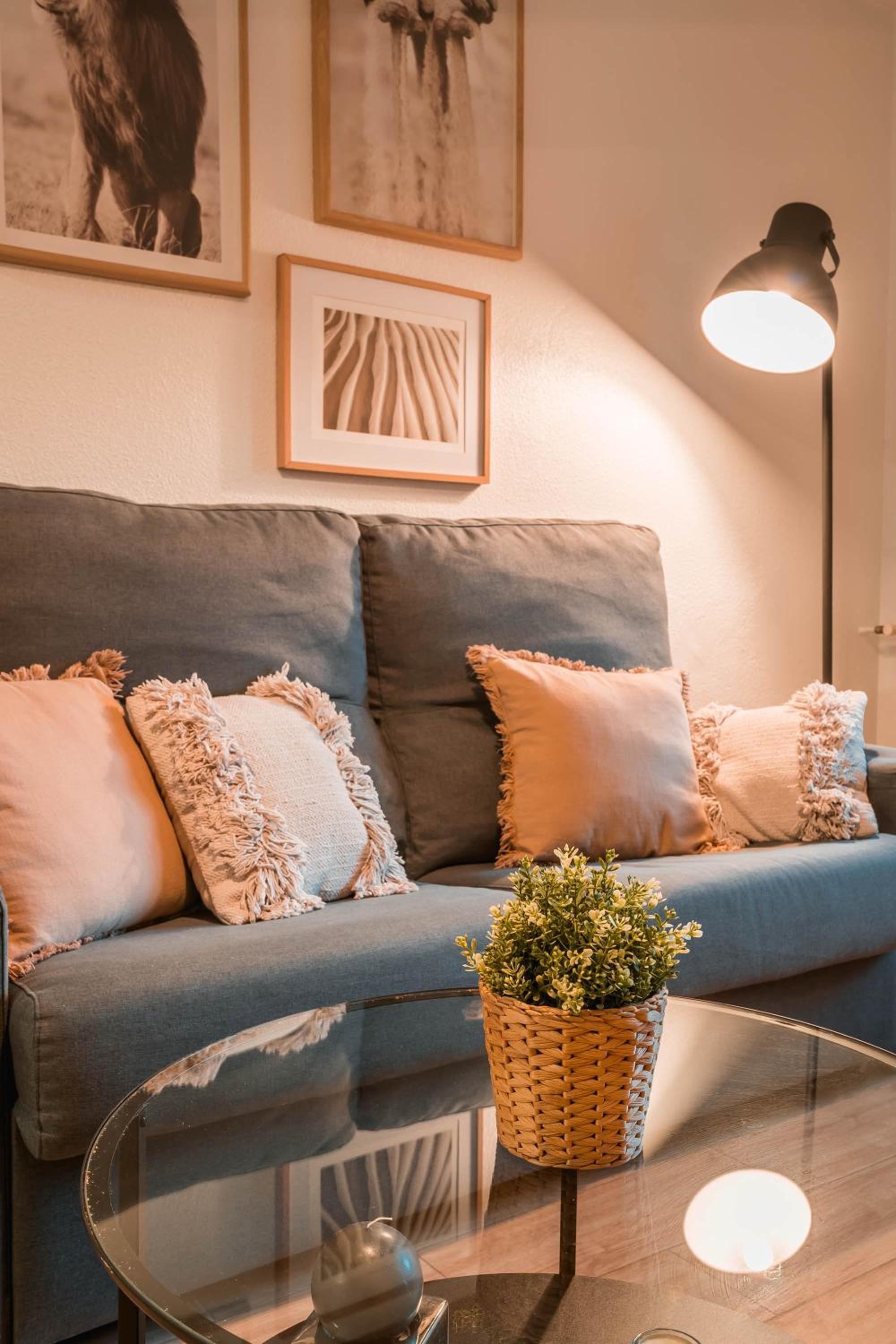 Apartamento Estudio - 14