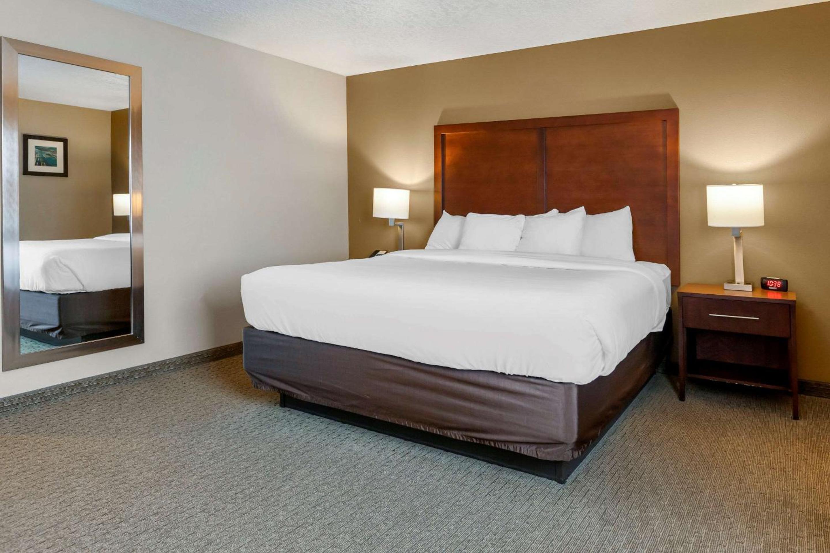 Deluxe King Suite - Non-Smoking - Photo 5