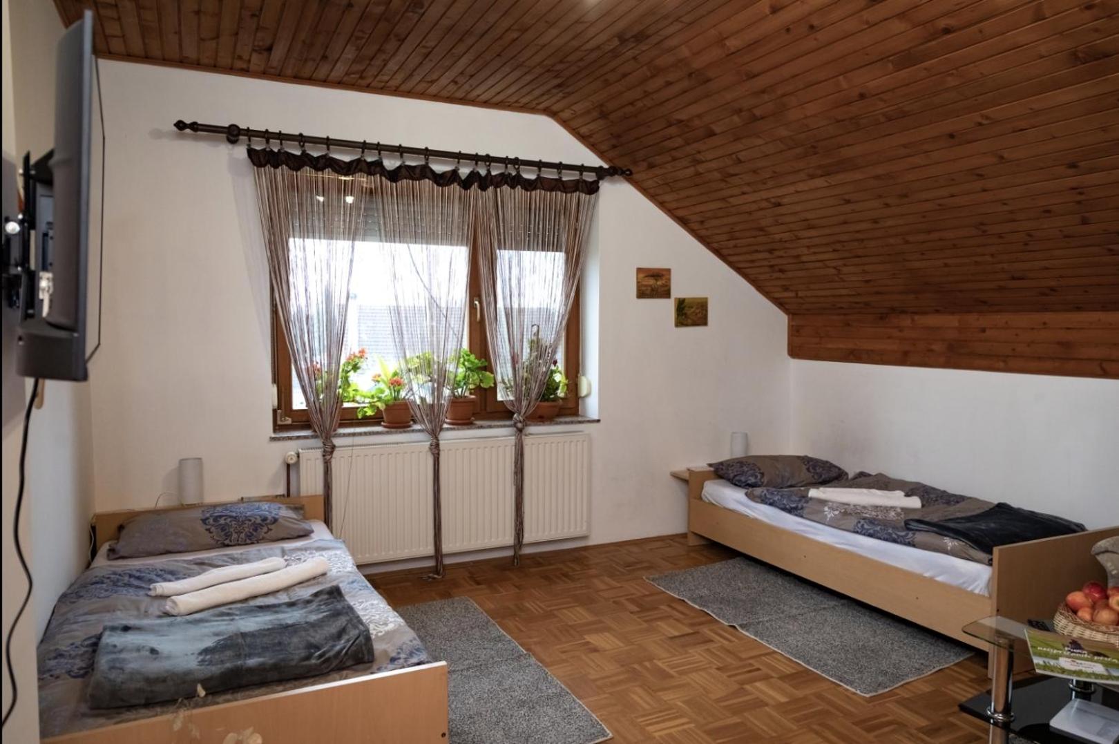 Twin Room photo 3