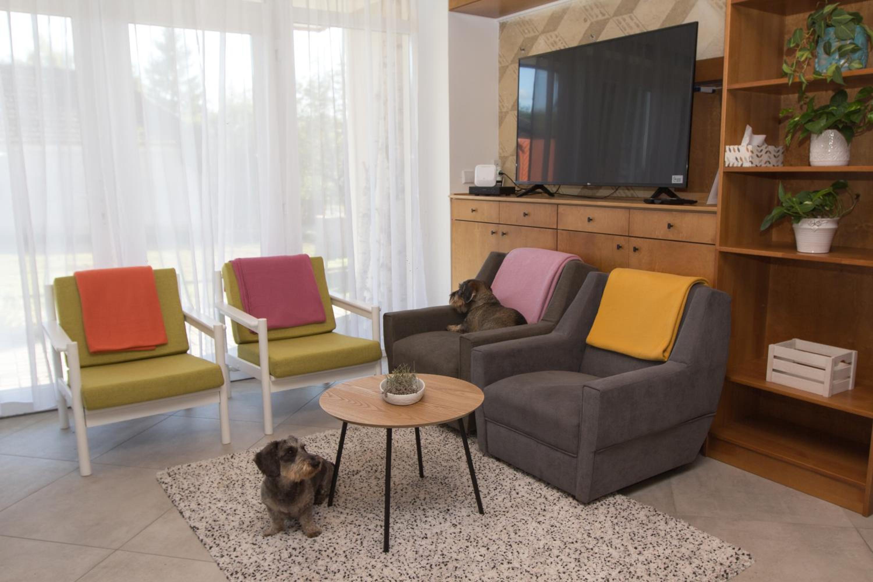 Three-Bedroom Apartment photo 2