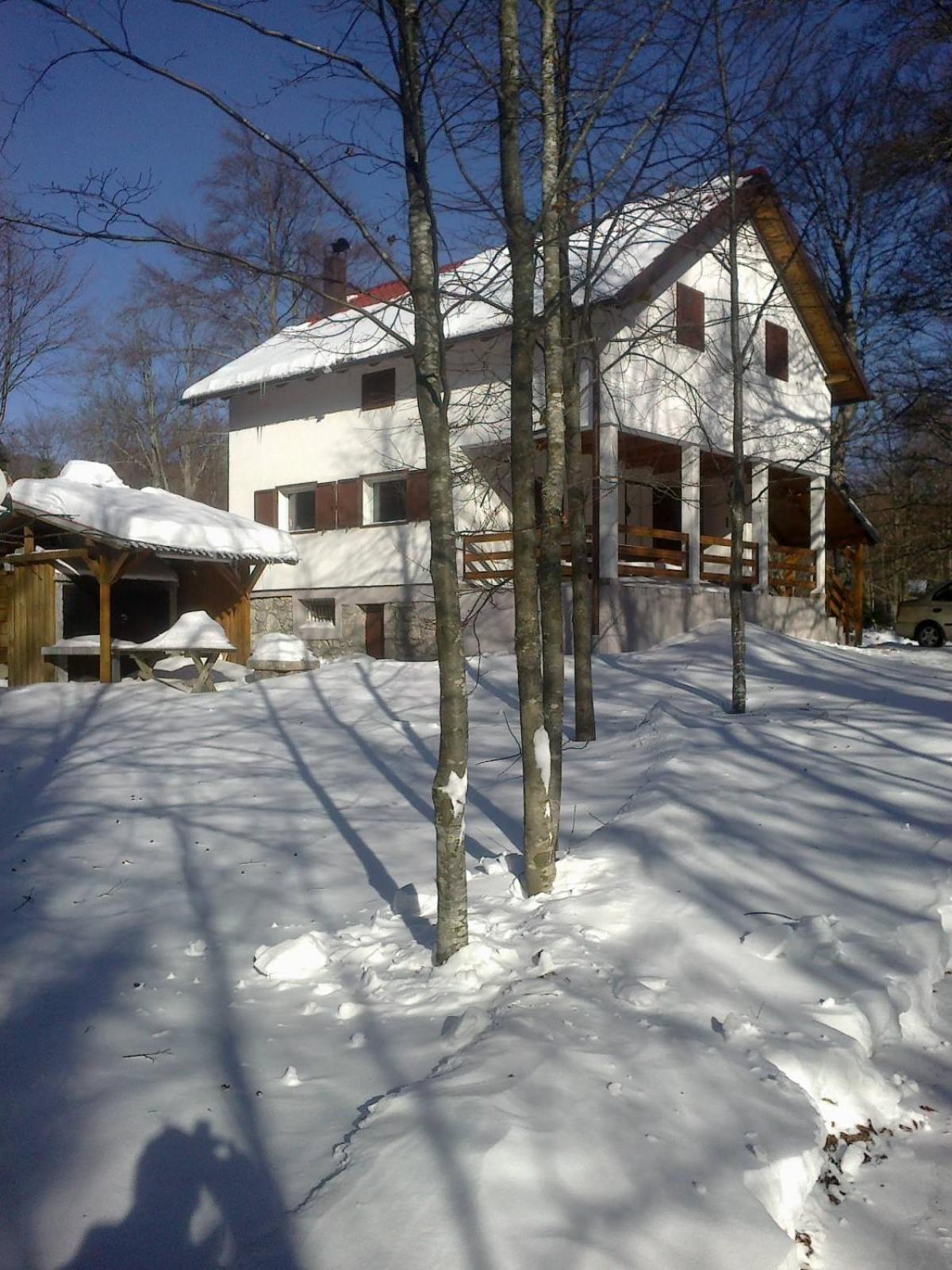 Chalet photo 3
