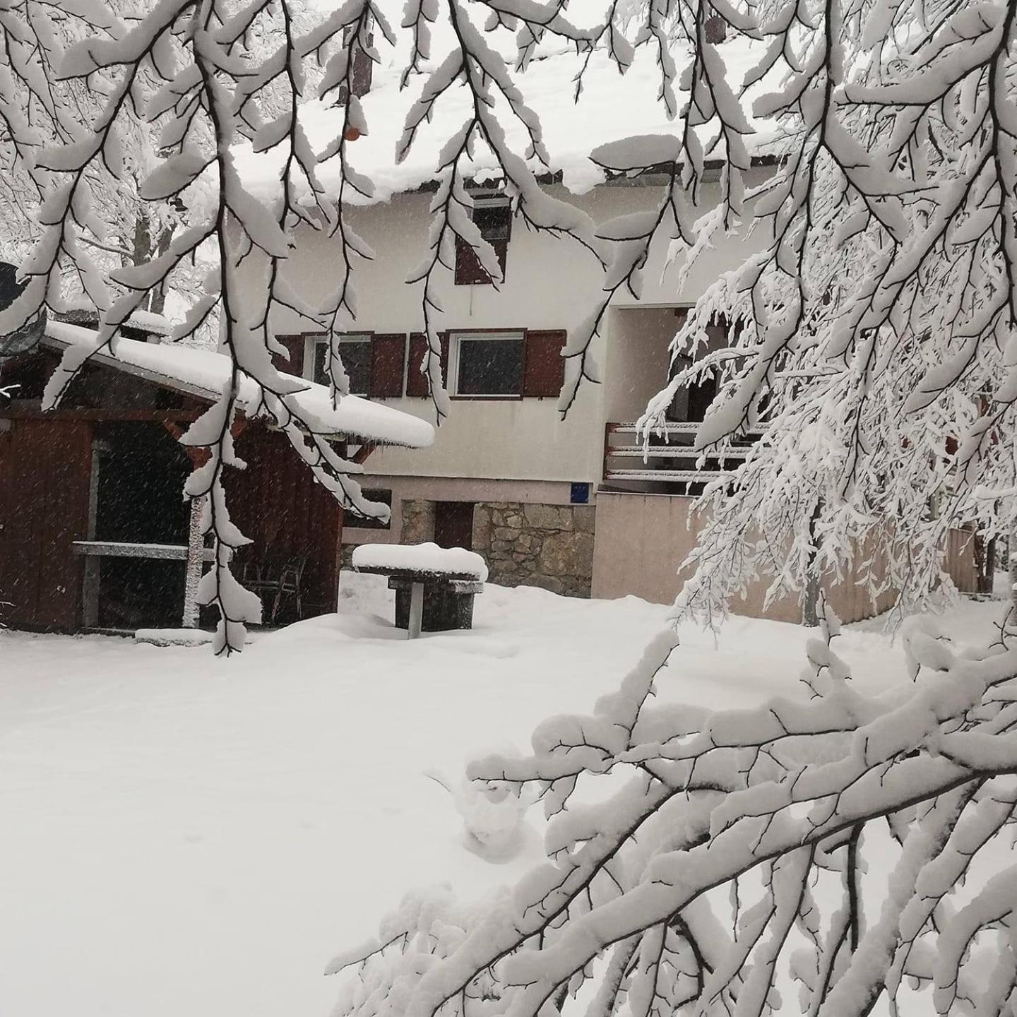 Chalet photo 2