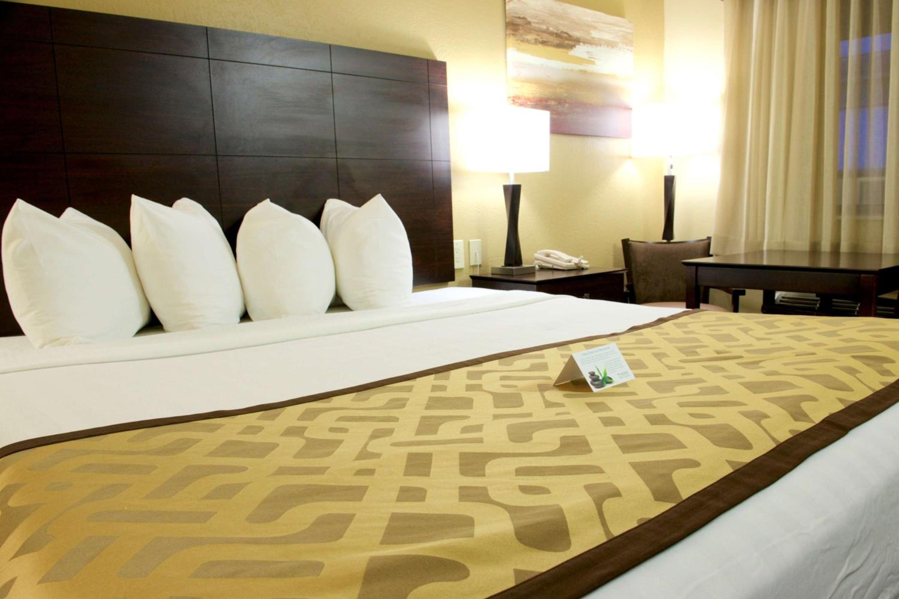 Deluxe King Room - Non Smoking - Photo 1