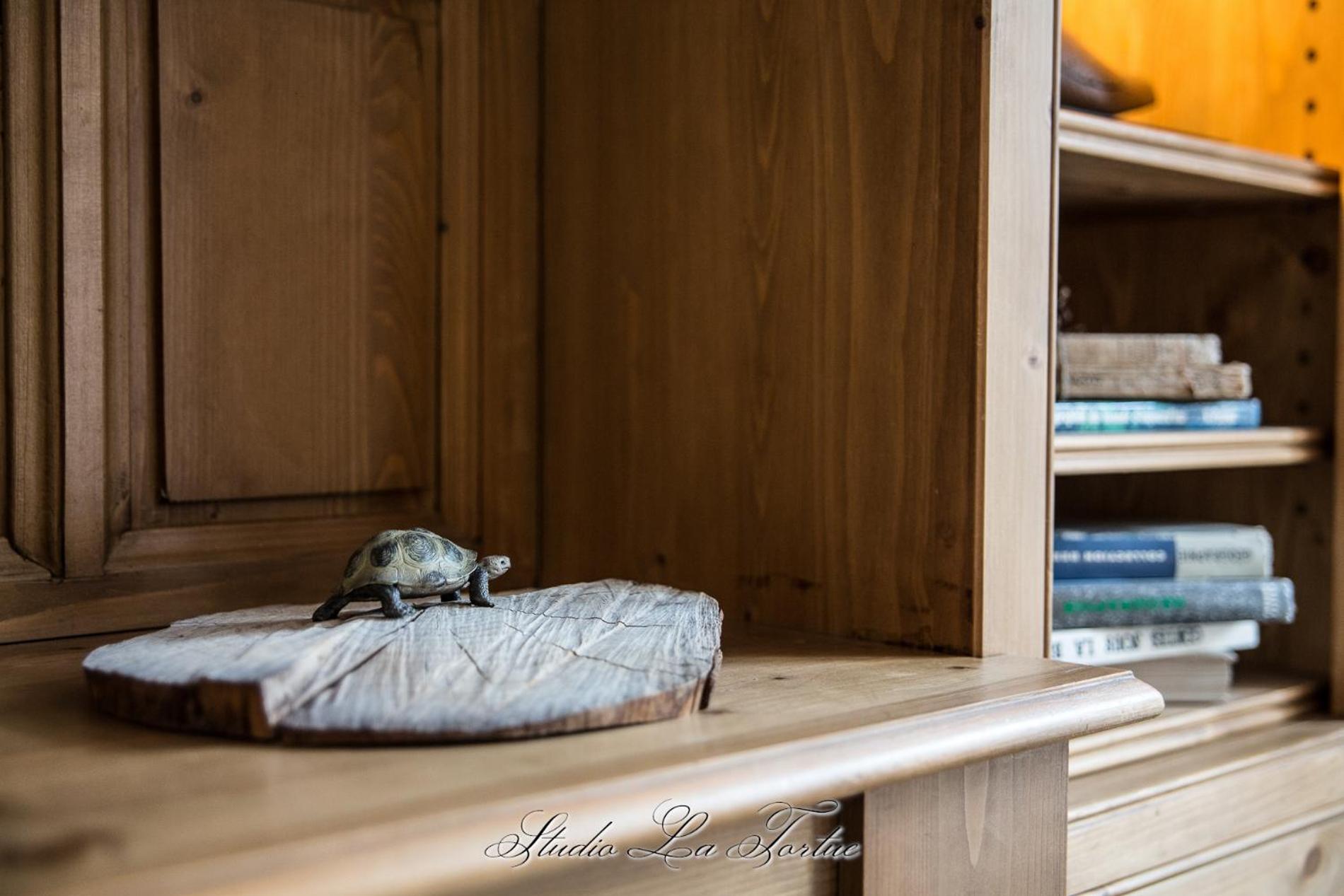 Deluxe King Studio - Photo 9