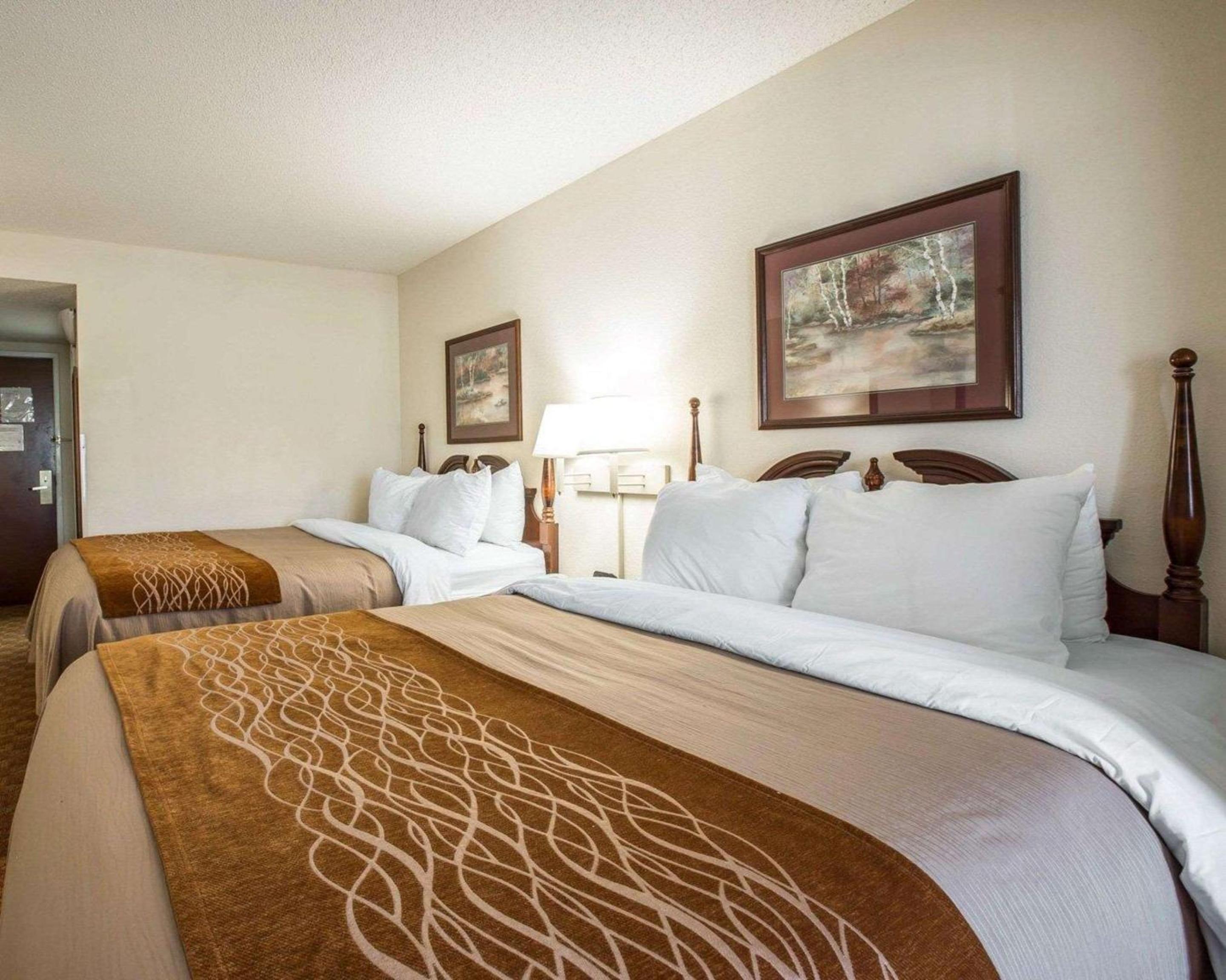 Queen Suite with Two Queen Beds - Non-Smoking - Photo 4