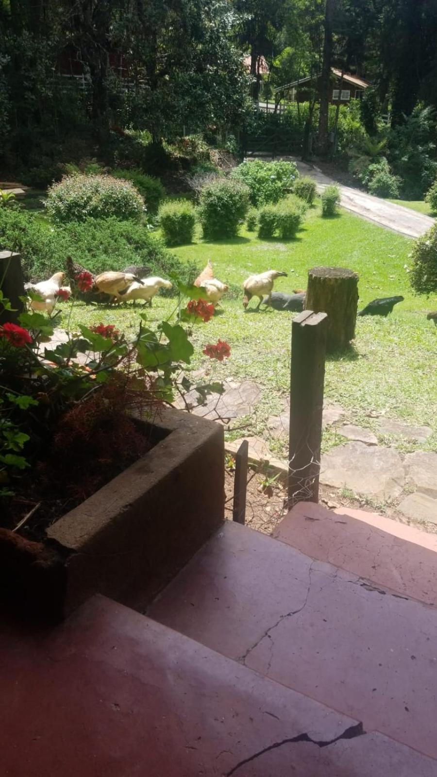 Chalet - Photo 23