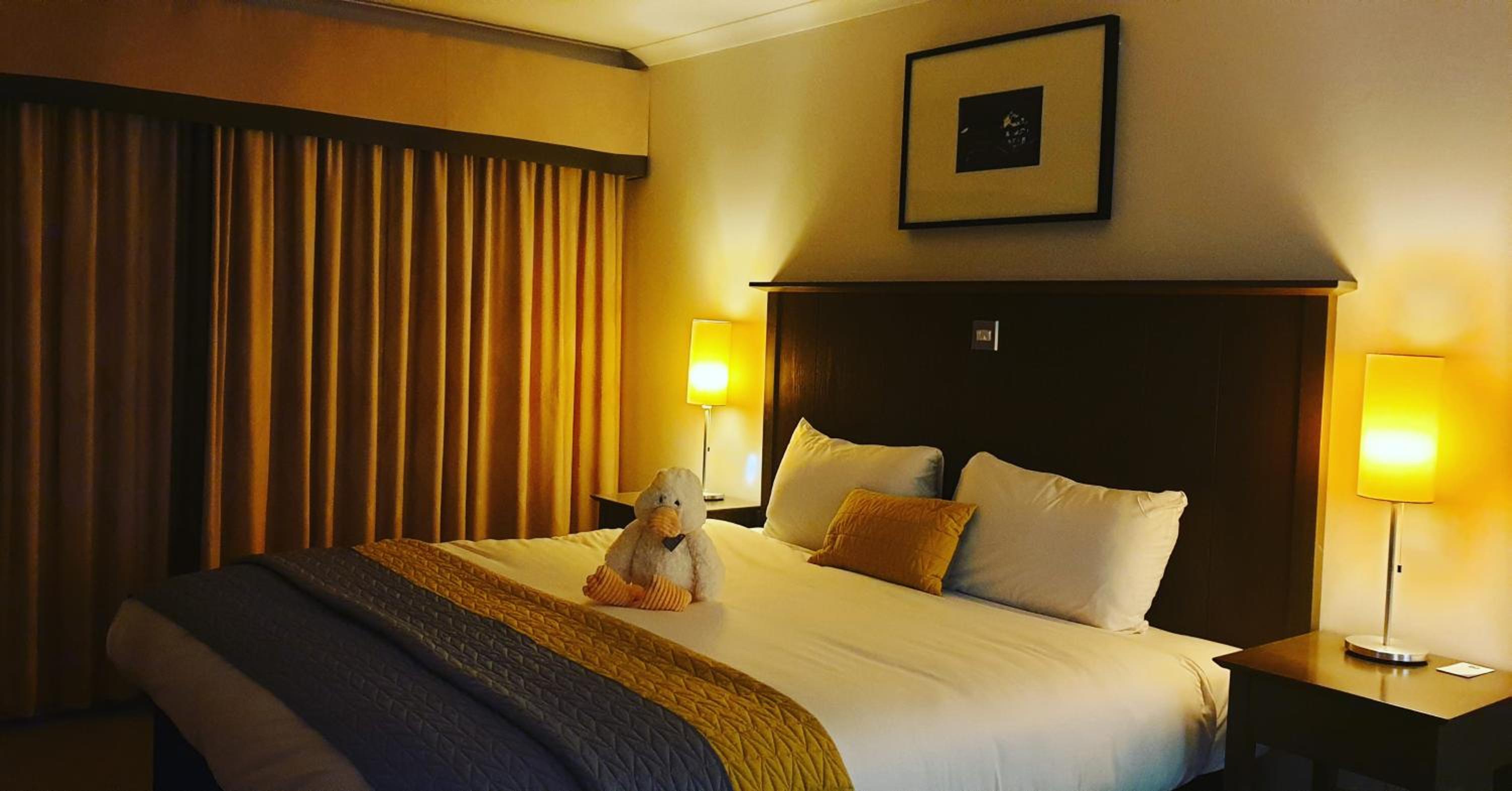 King Guest Room photo 3