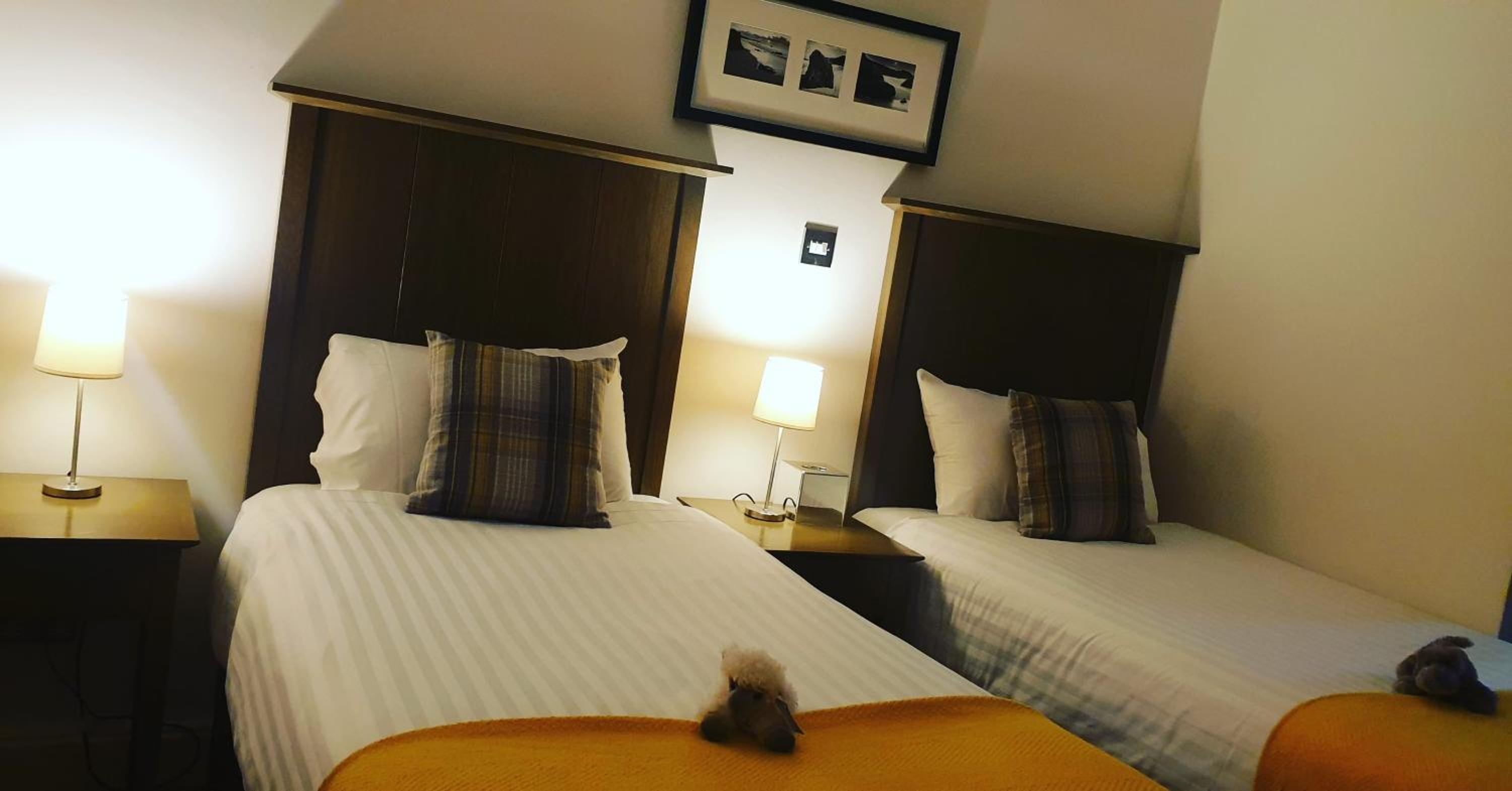 Twin Guest Room photo 2
