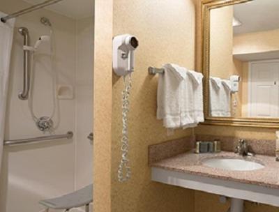 One-Bedroom Suite - Disability Access/Non-Smoking photo 2