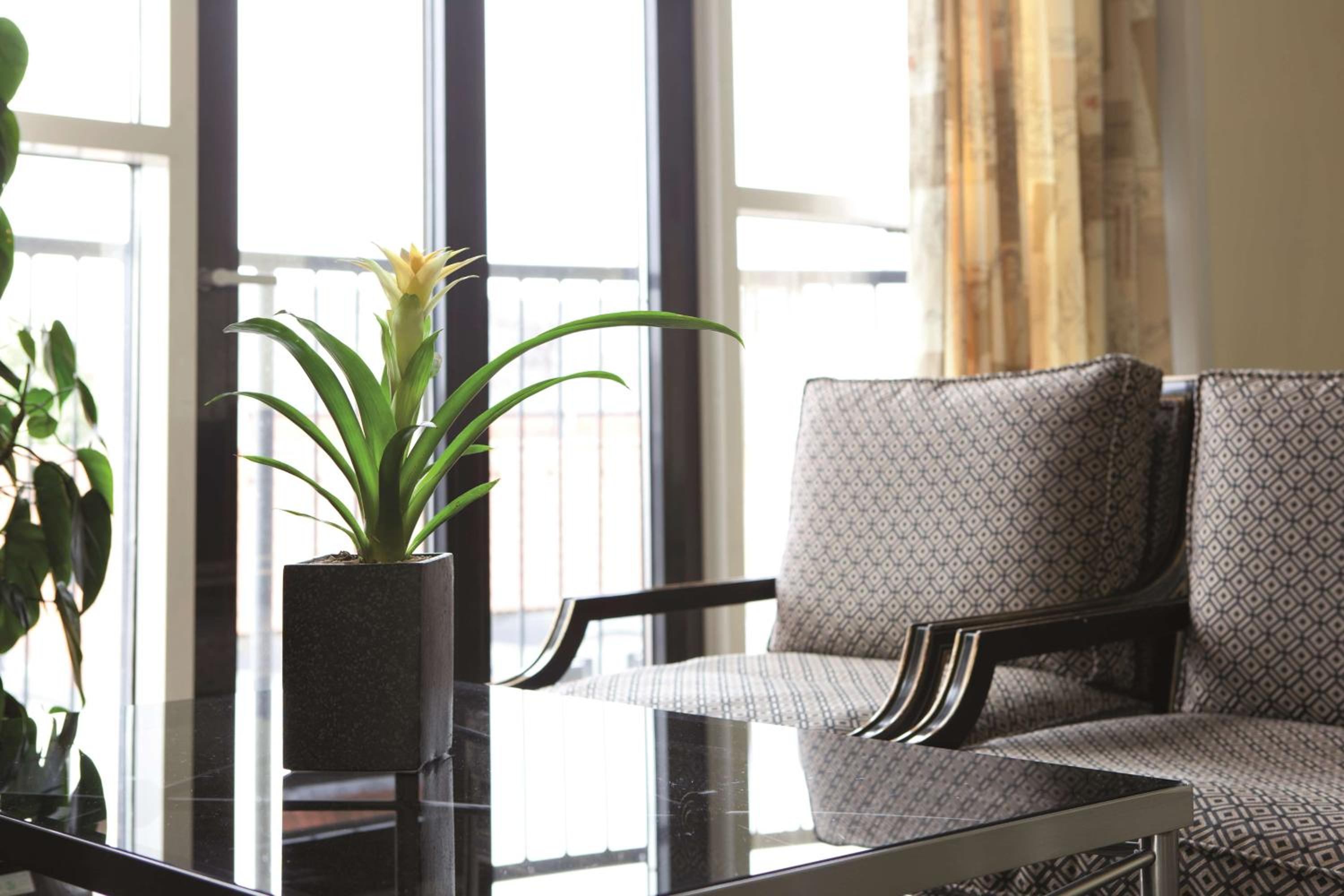 One-Bedroom Suite