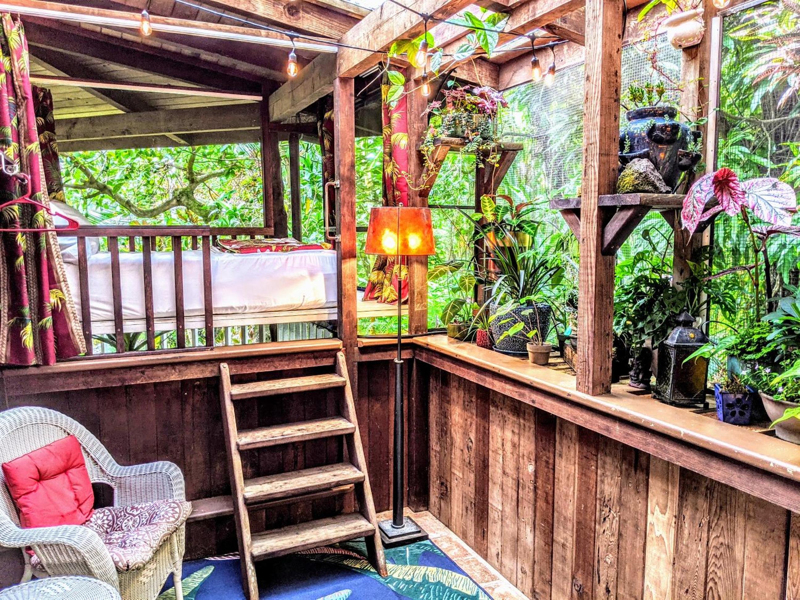 Double Room with Garden View photo 3