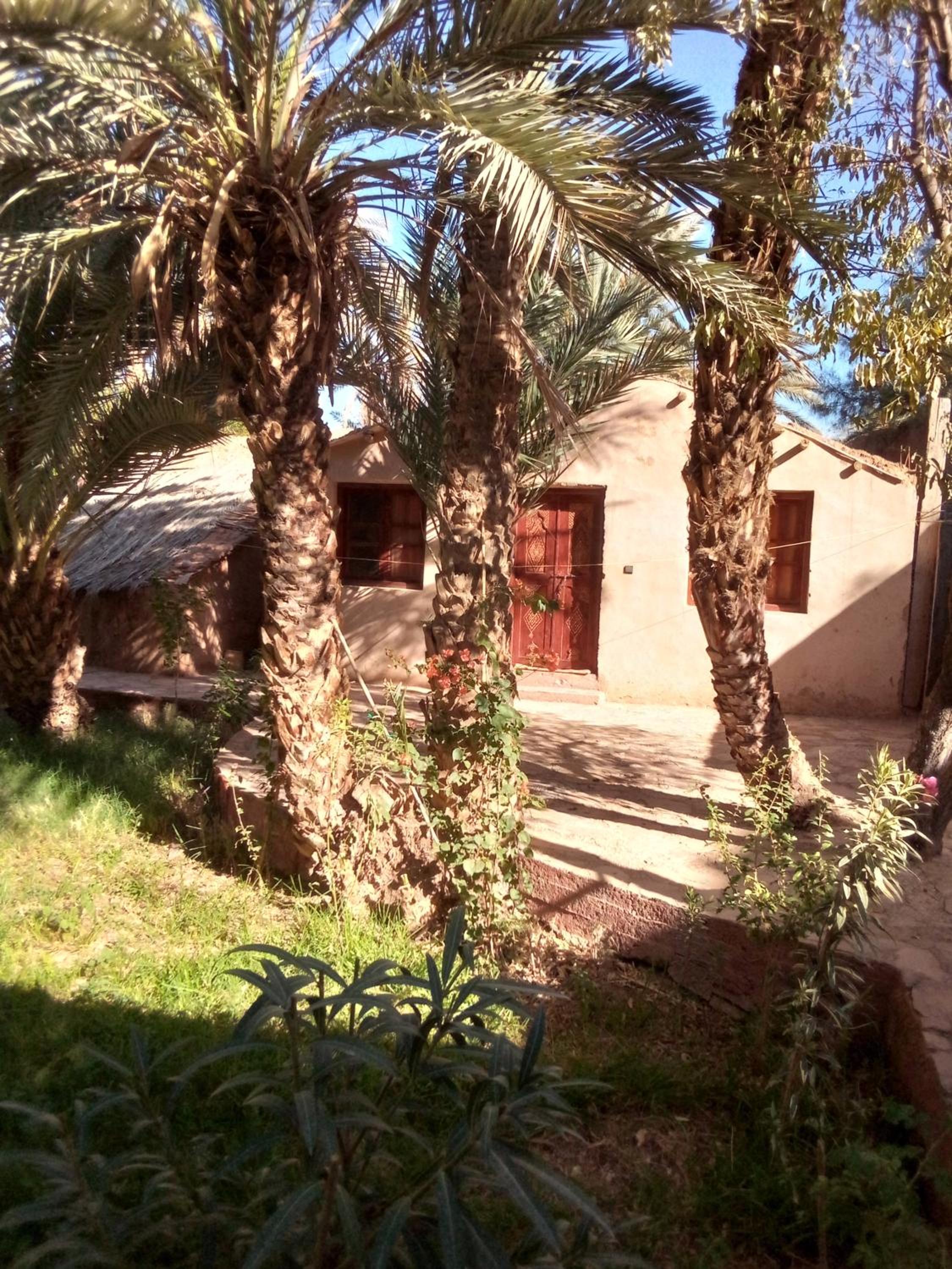 Quadruple Room with Garden View photo 2
