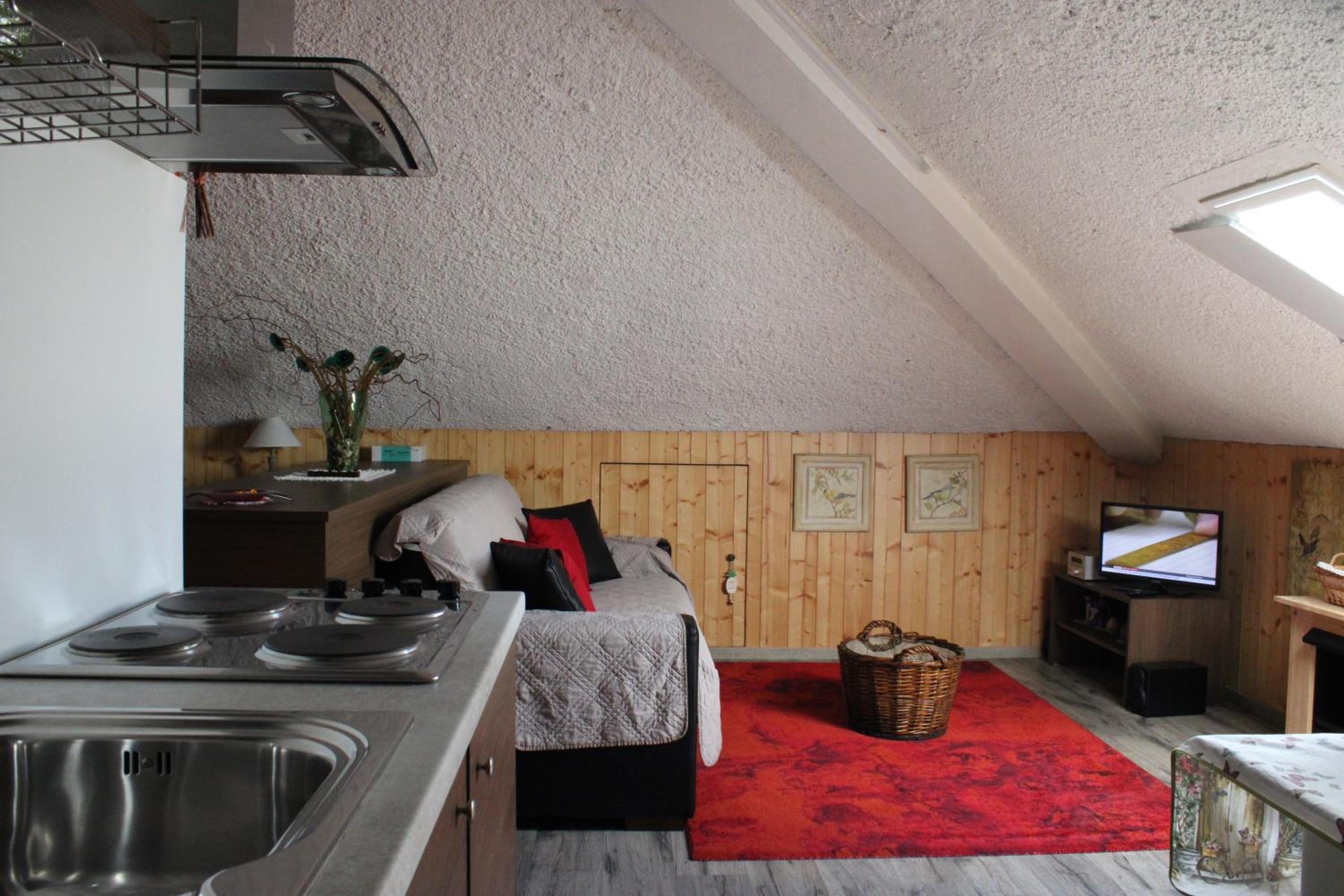 Studio with Sofa Bed photo 1