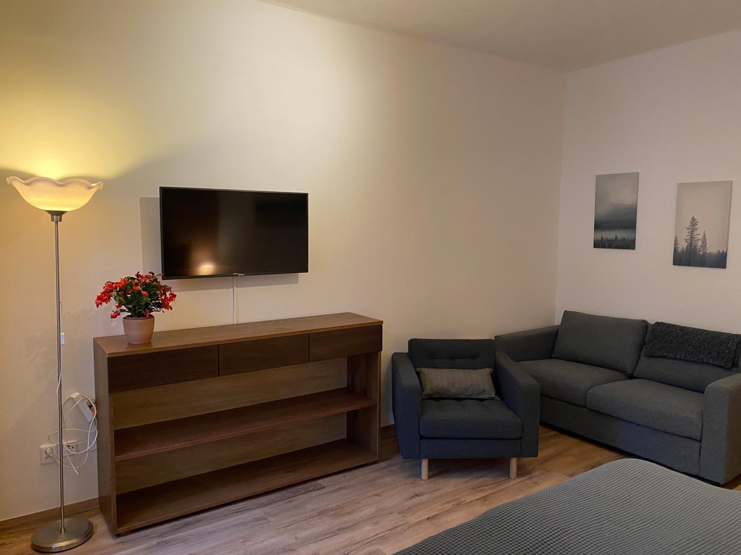 Superior Apartment - Photo 2