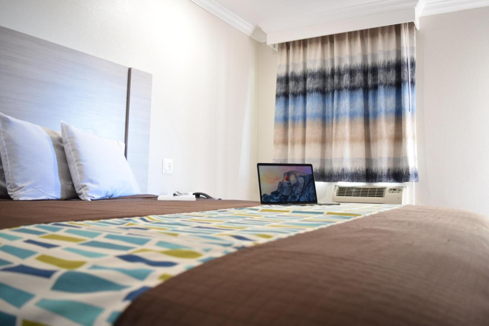 King Room photo 2